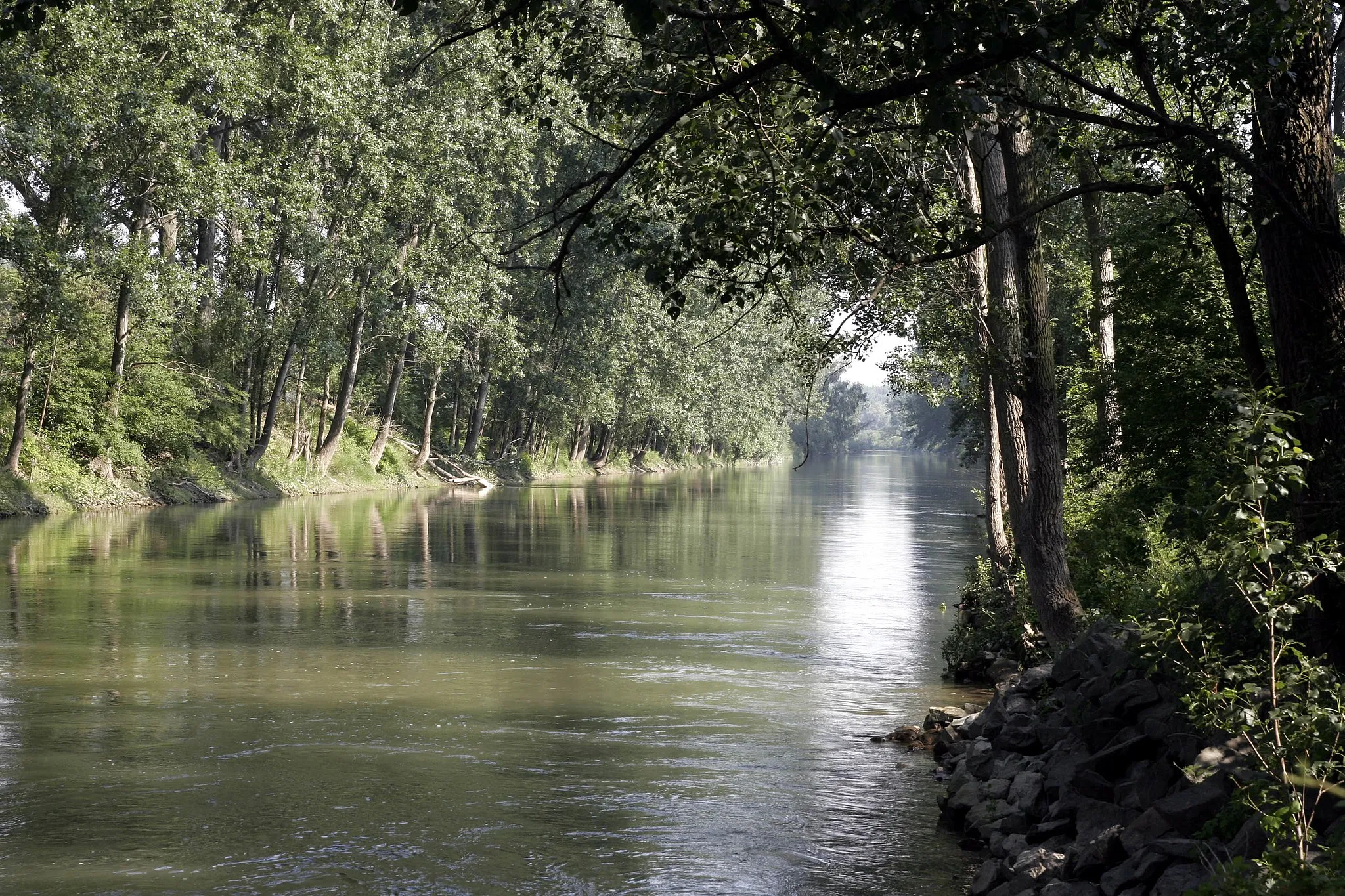 Photo showing: Der Altrhein bei Stockstadt, unmittelbar hinter dem Abfluss des Rheins (südliche Verbindung zum Rhein = Zufluss)