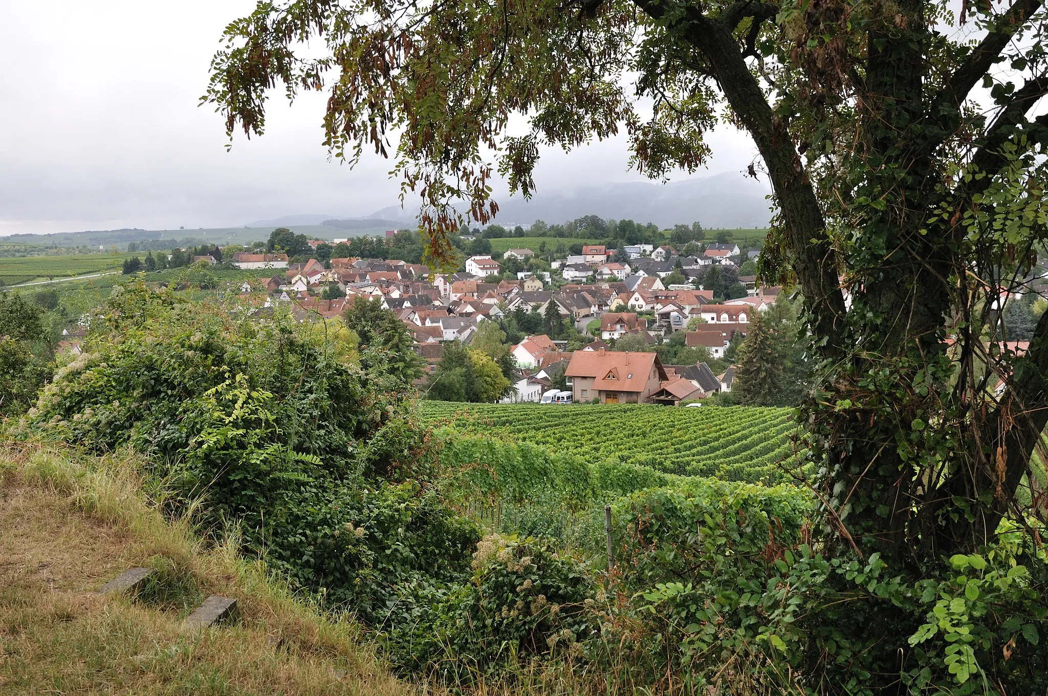 Photo showing: Ilbesheim, südliche Weinstraße, Pfälzerwald