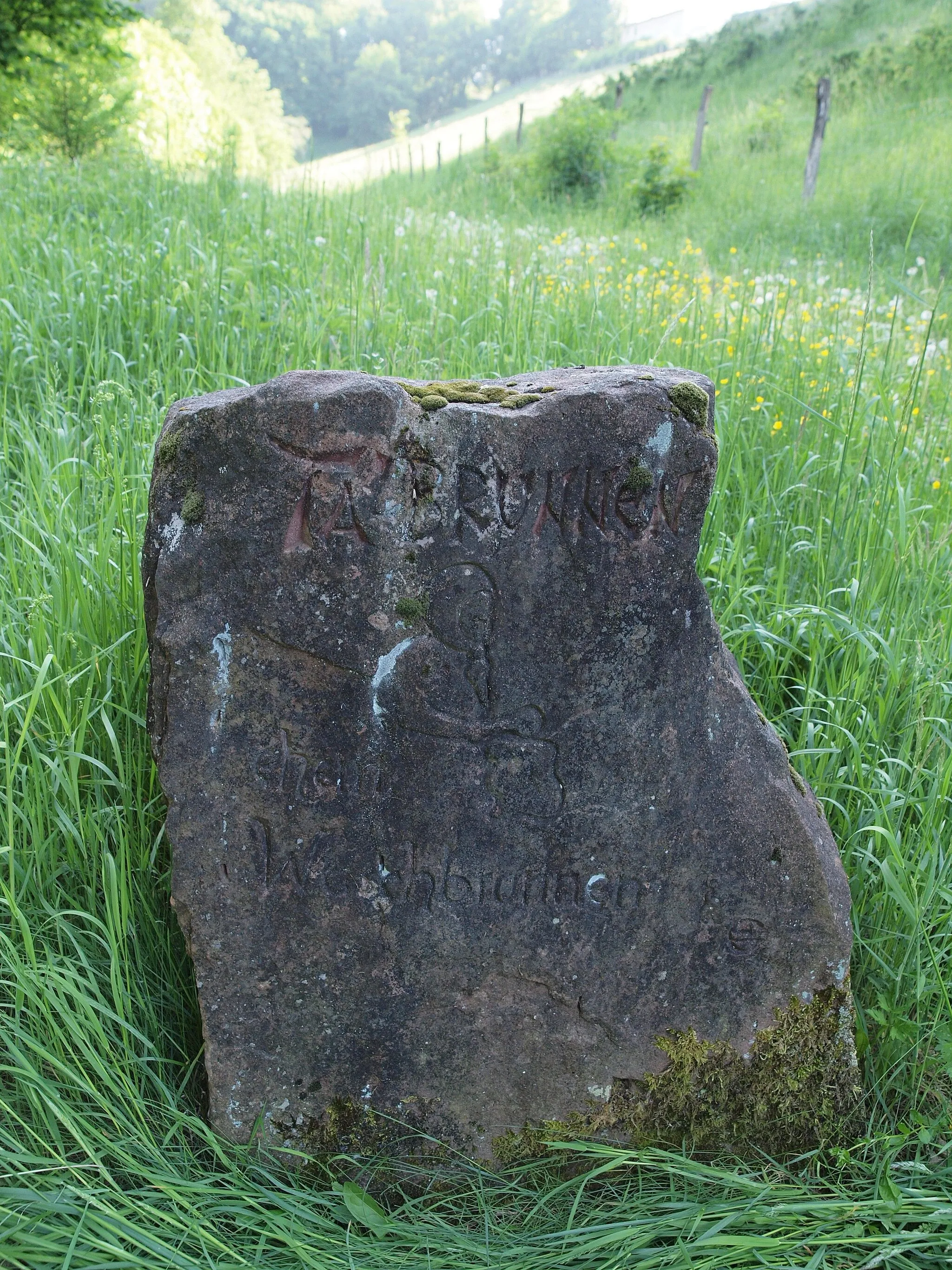 Photo showing: Talbrunnen Stelzenberg