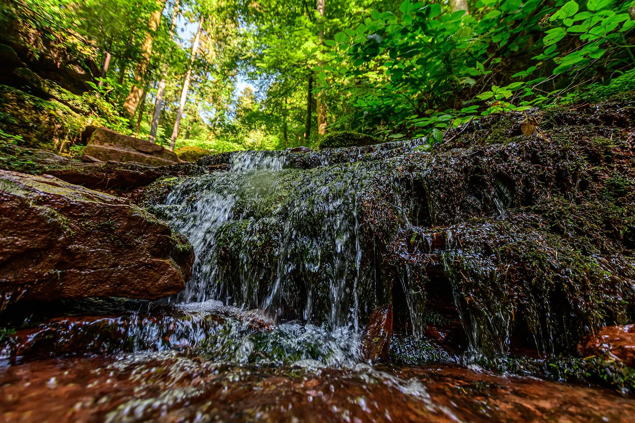 Photo showing: Wolfsschlucht bei Eberbach