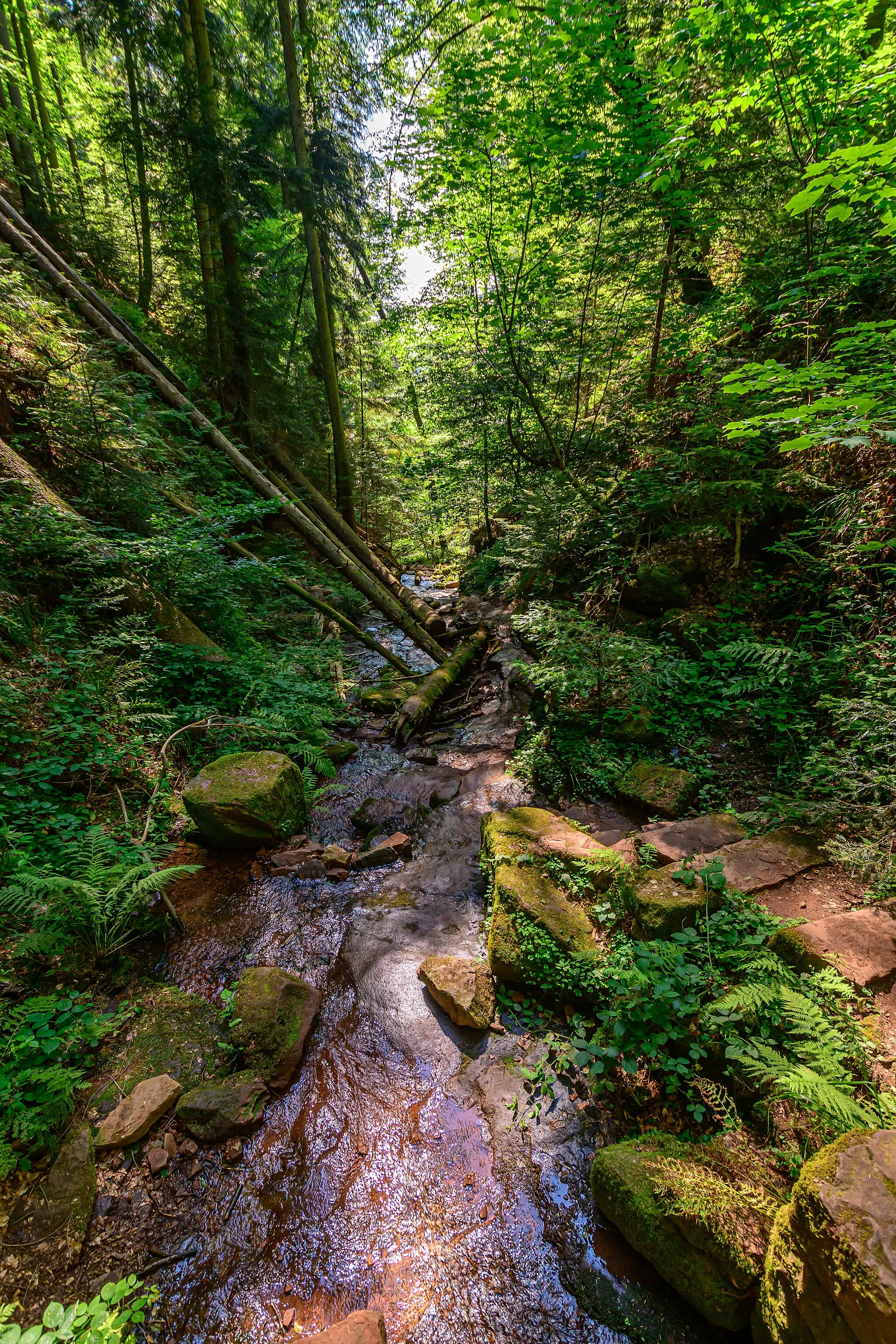 Photo showing: Wolfsschlucht bei Eberbach