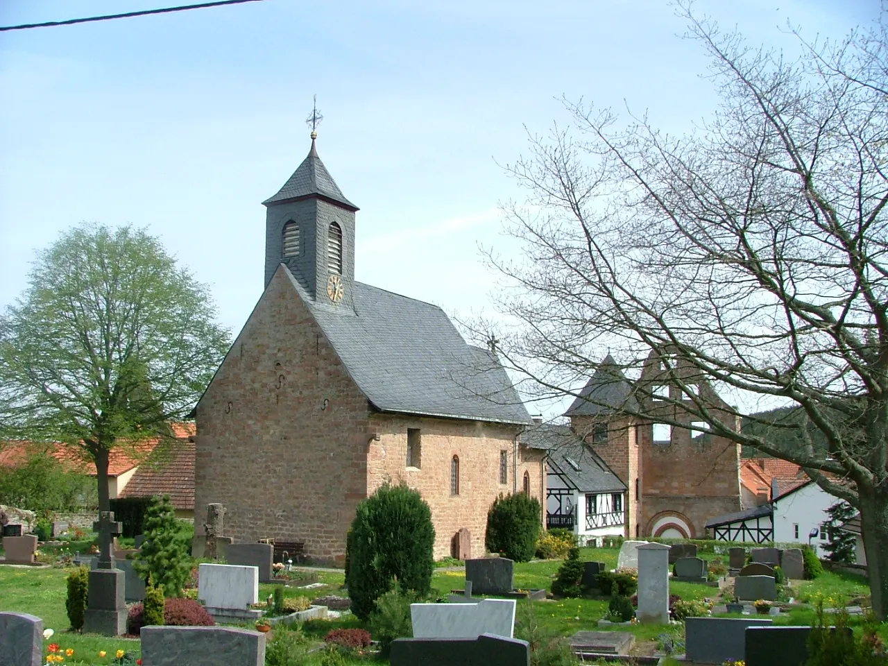 Photo showing: Die romanische Kirche St. Jacob steht im Ortskern von Höningen. Der umgebende Friedhof diente im Mittelalter den benachbarten Gemeinden als Begräbnisstätte. Im Hintergrund: Giebel vom Konventsgebäude (links) und der Westgiebel der zerfallenen Klosterkirche (rechts).