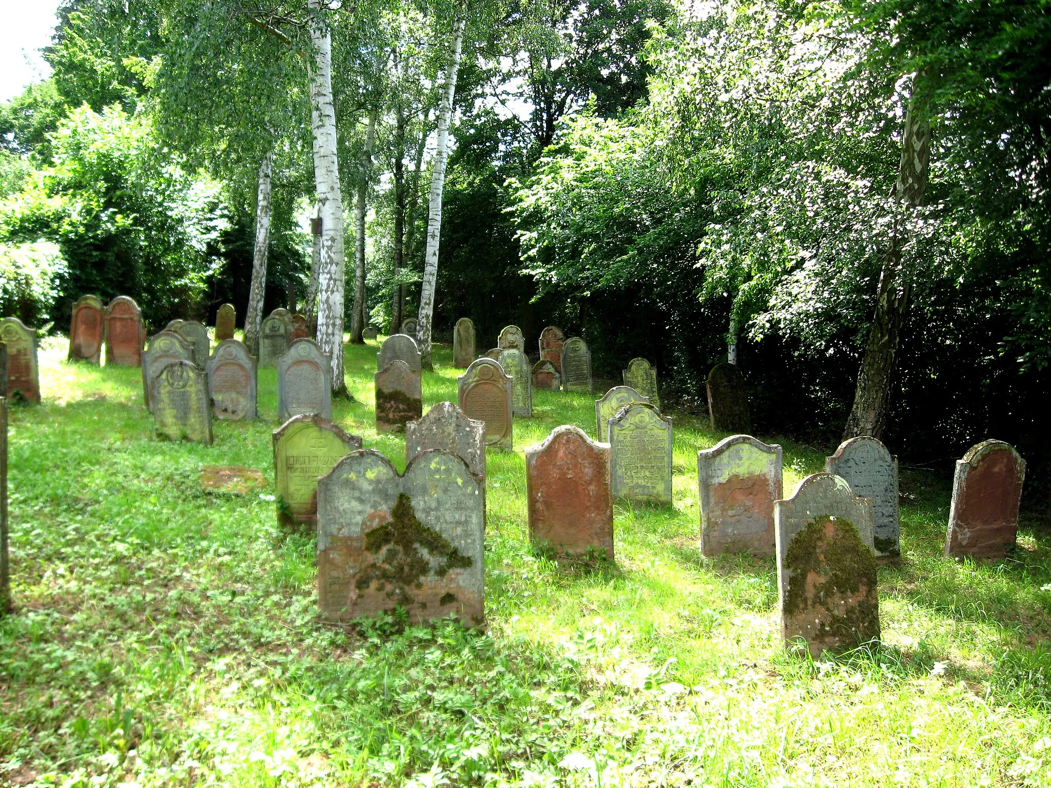 Photo showing: Jüdischer Friedhof oberhalb der Industriestraße in Annweiler