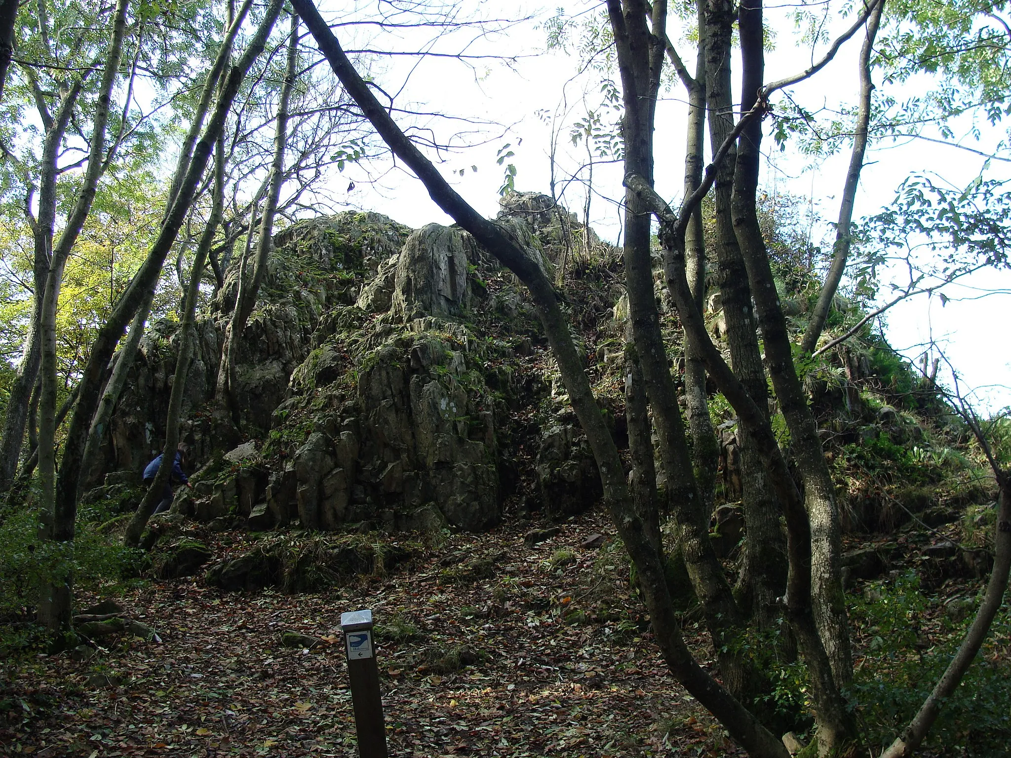 Photo showing: Königsstuhl-Felsen auf dem Donnersberg (Pfälzer Bergland)