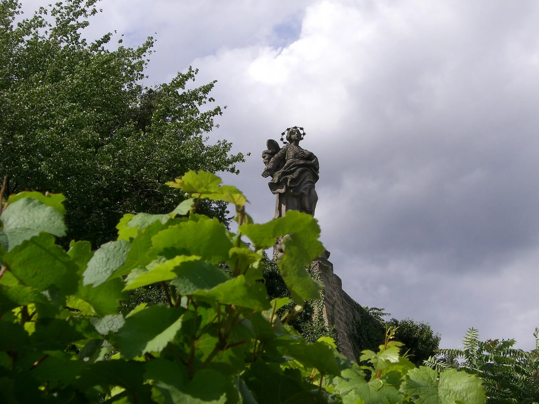 Photo showing: Die Madonnen-Statue im Forster Mariengarten