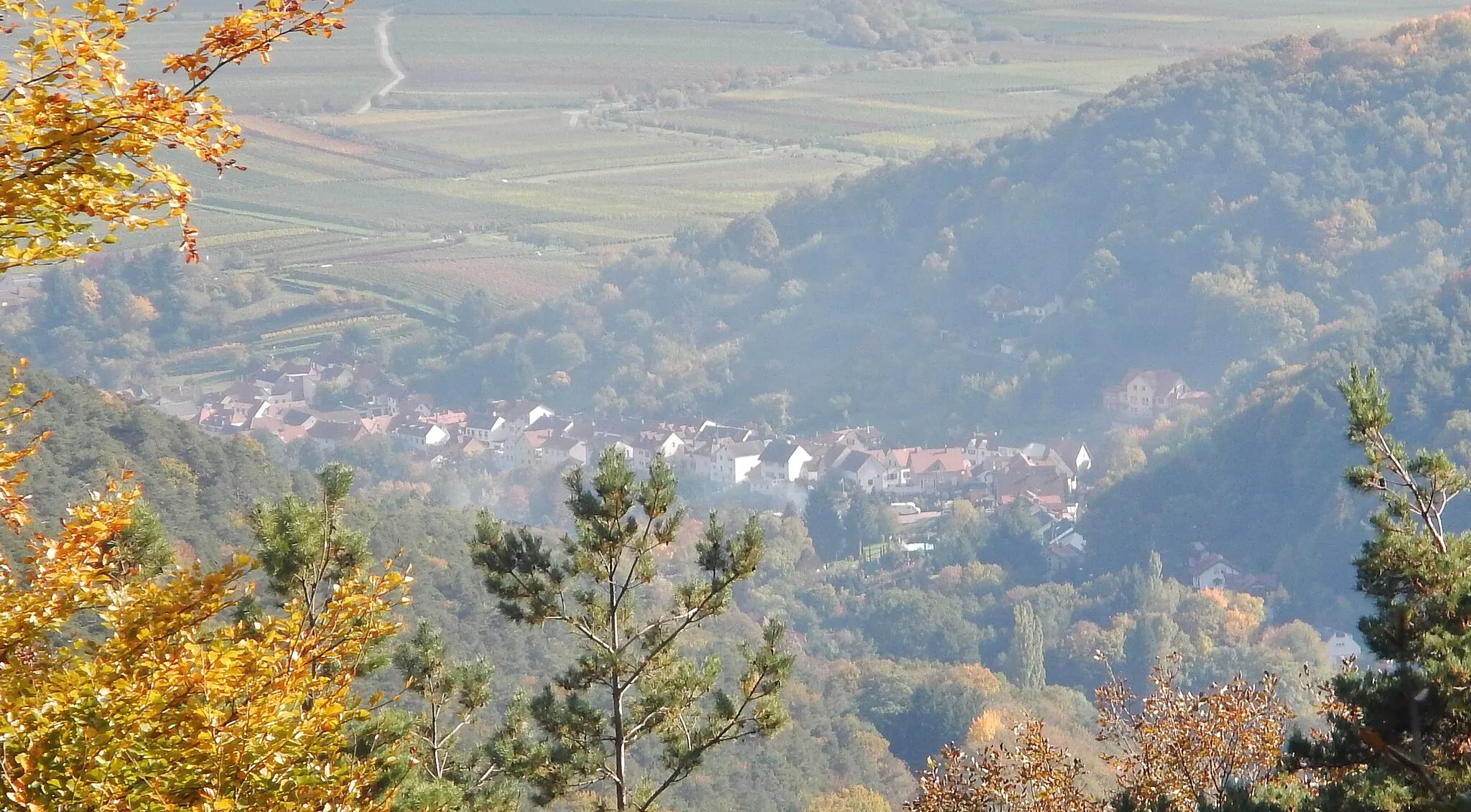 Photo showing: Ausblick von der Hüttenberghütte im Naturpark und Biosphärenreservat Pfälzerwald