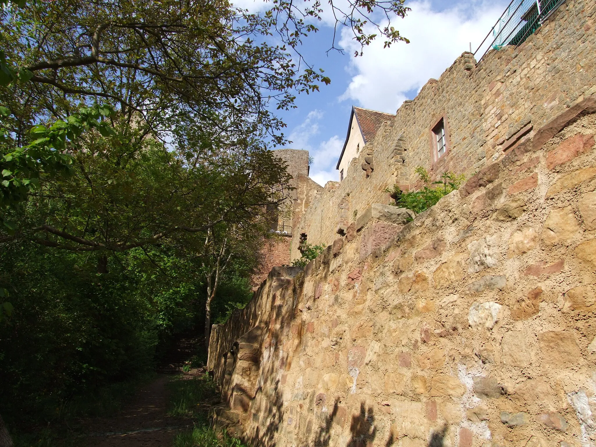 Photo showing: Walls Neuleiningen, east side