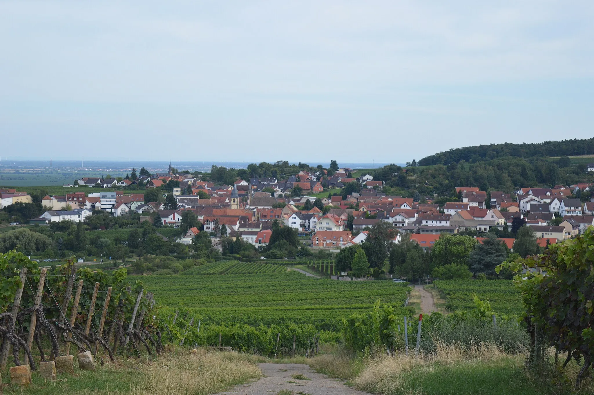 Photo showing: Blick auf Leistadt aus dem Wingert auf einem Wanderweg von Weisenheim am Berg nach Leistadt (Stadtteil Bad Dürkheim)