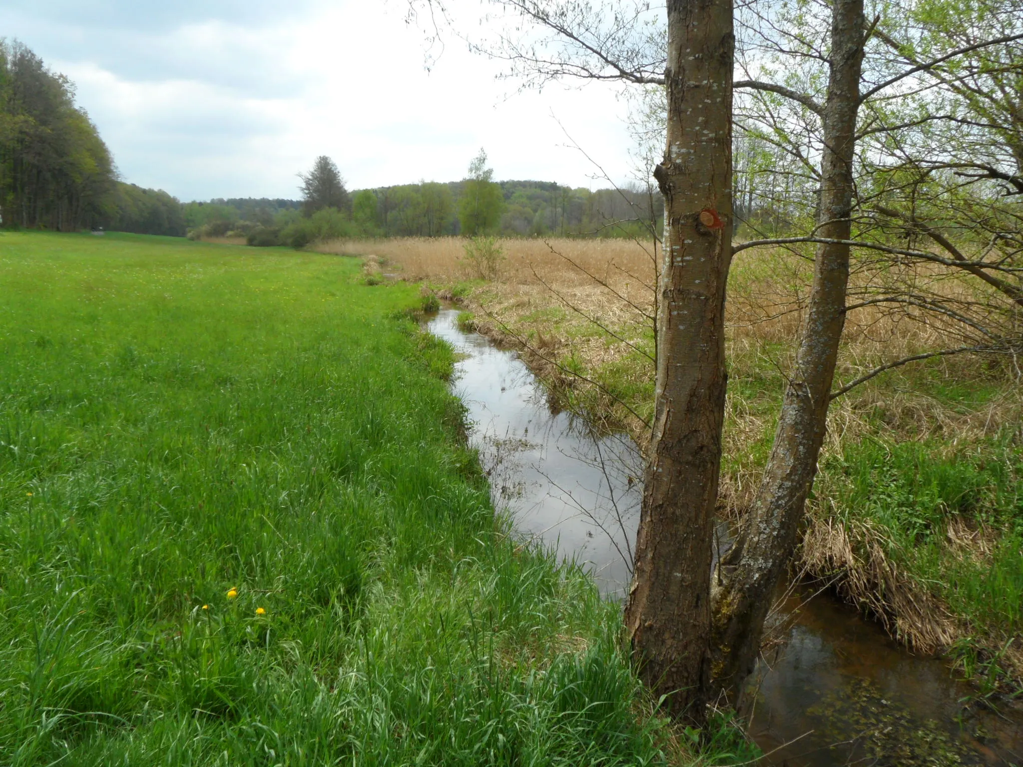 Photo showing: This is a picture of the protected area listed at WDPA under the ID