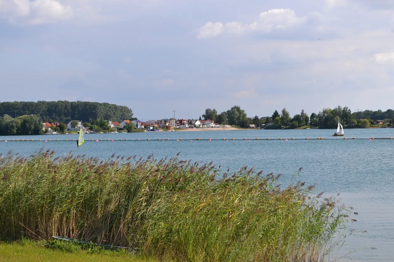 Photo showing: Blick auf den Riedsee bei Biblis