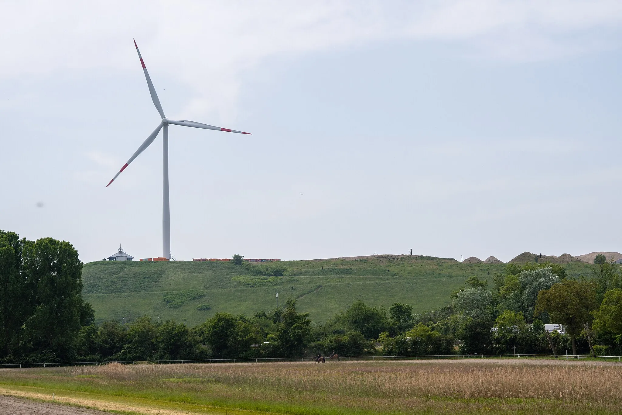 Photo showing: Knielingen Pferderennbahn am Tag der offenen Tür 2023