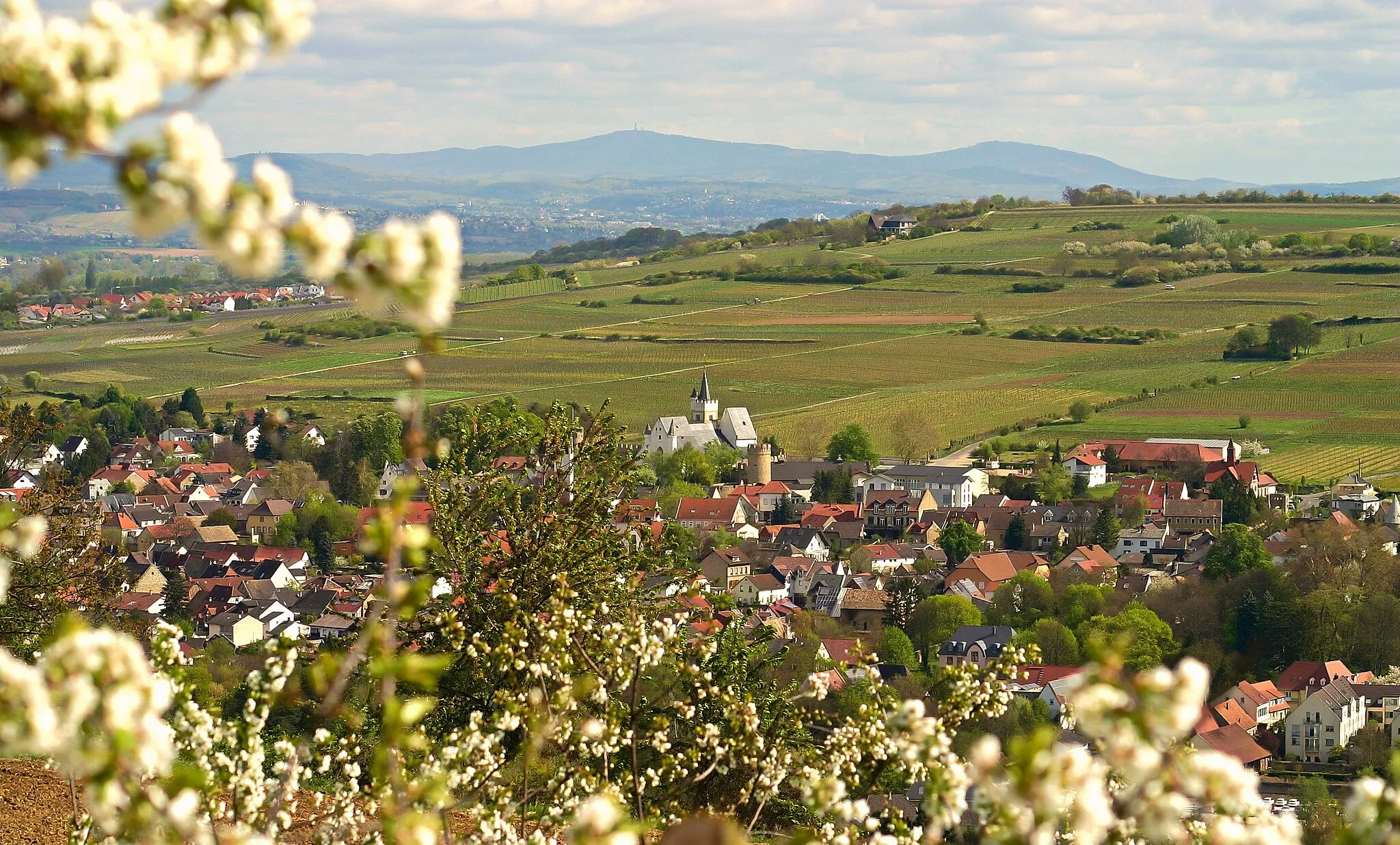 Photo showing: Ober-Ingelheim 2014 vom Westerberg aus gesehen