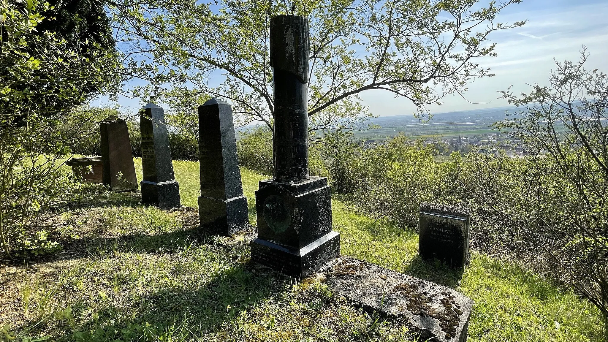 Photo showing: BINGEN DROMERSHEIM' DENKMALZONE JÜDISCHER FRIEDHOF BILD 12