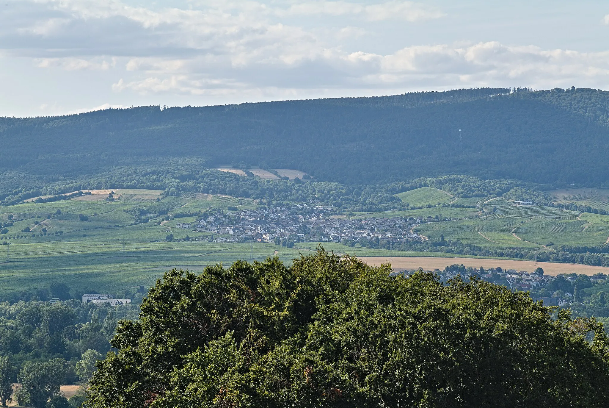 Photo showing: View from the Rabenkopf in the Hangflächen um den Heidesheimer Weg nature reserve.