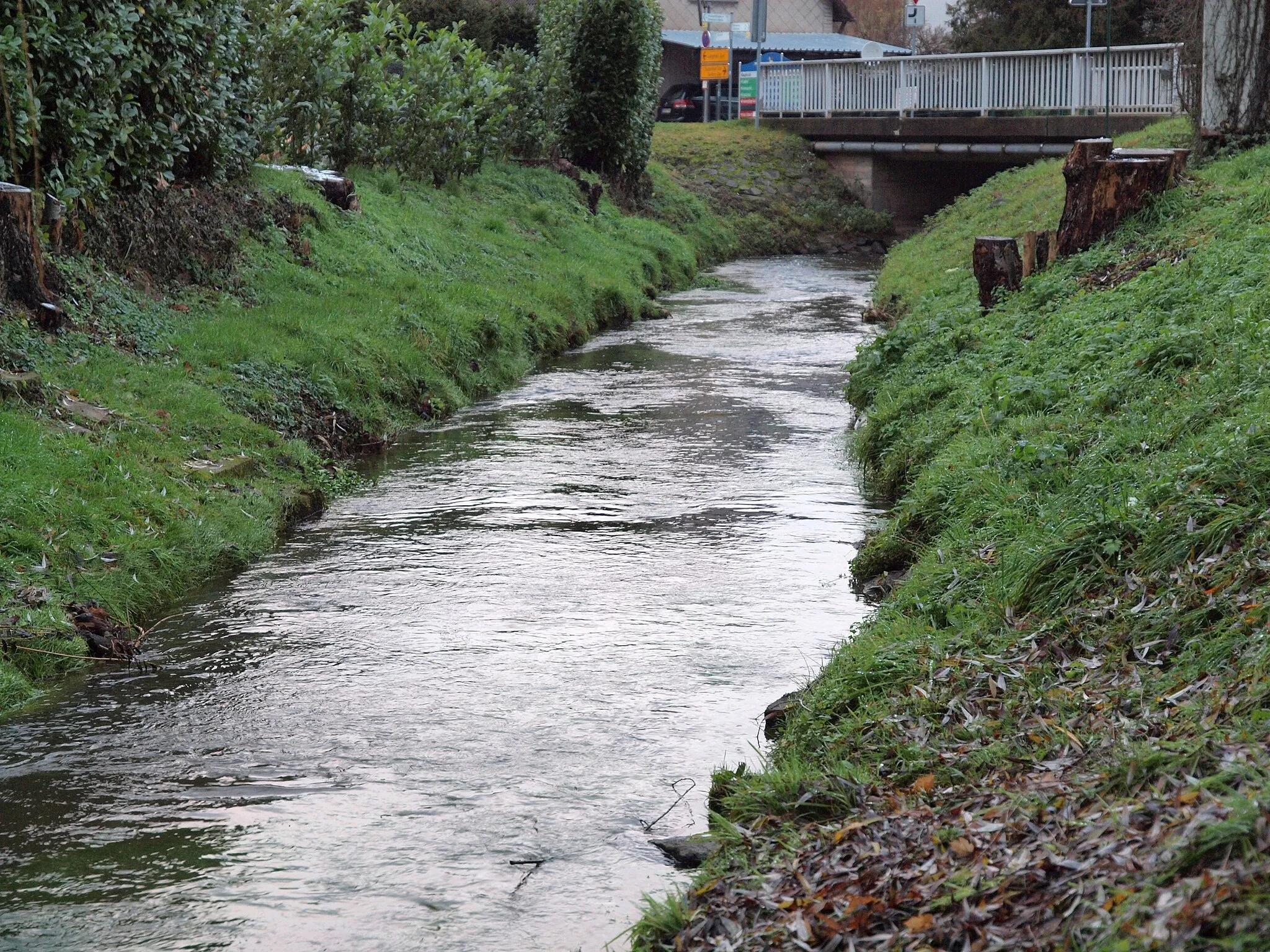 Photo showing: Die Alsenz in Münchweiler