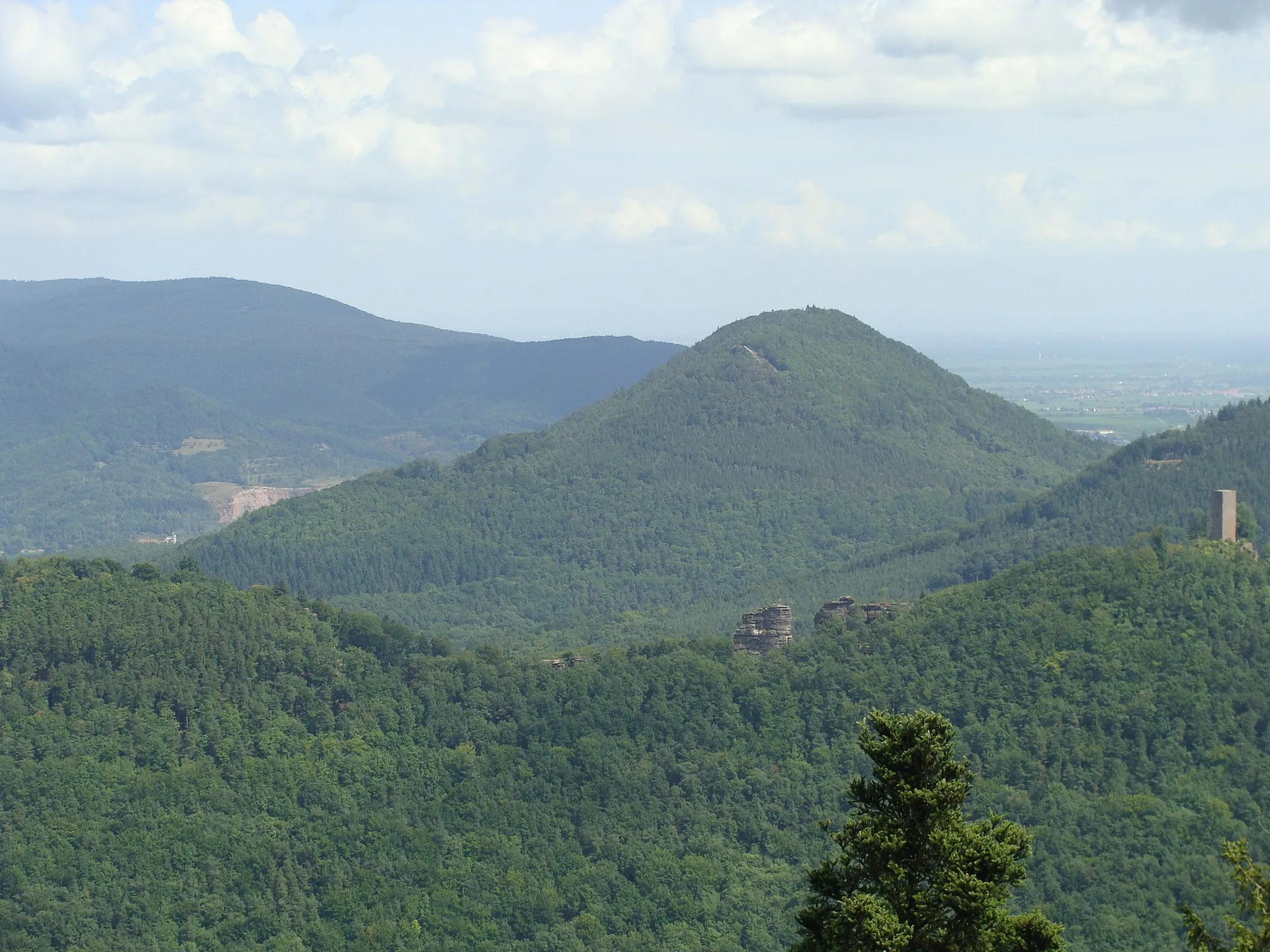 Photo showing: Hohenberg (552 m) im Wasgau/Pfälzerwald