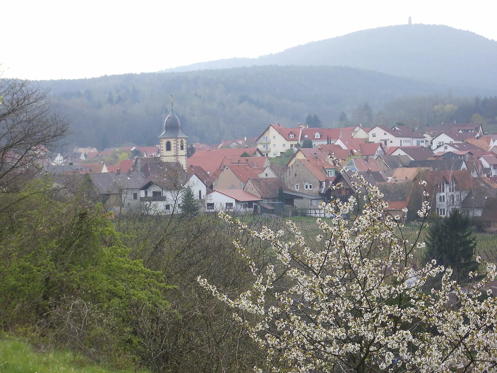 Photo showing: The village of Leistadt beginning of April 2007. The photograph was taken from the apple tree gardens of the 'Berntal' (north-east of Leistadt). On the top of the mountain the 'Bismark tower' is visible.