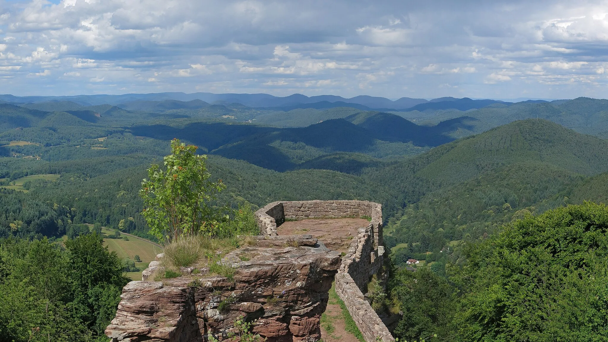 Photo showing: View from Wegelnburg northeastward over the Palatinate Forest