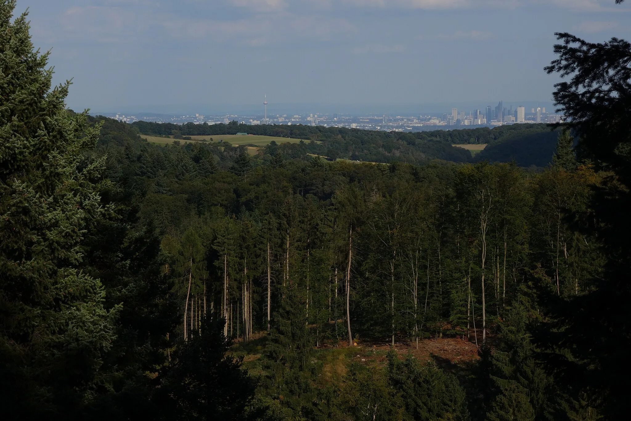 Photo showing: Lorsbach: View froom view point Skyline-View near the top of Judenkopf mountain to the east to Frankfurt