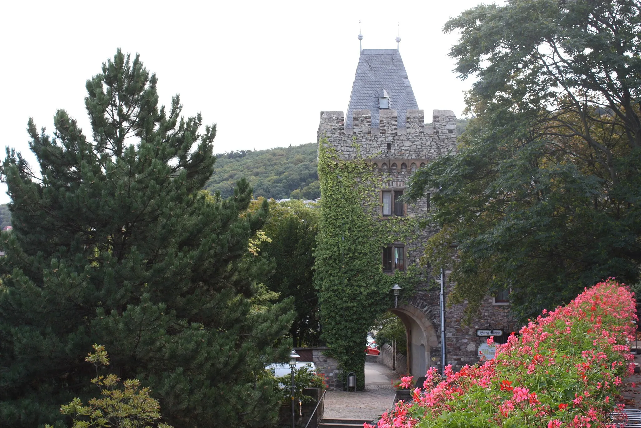 Photo showing: Burg Klopp - Torhaus