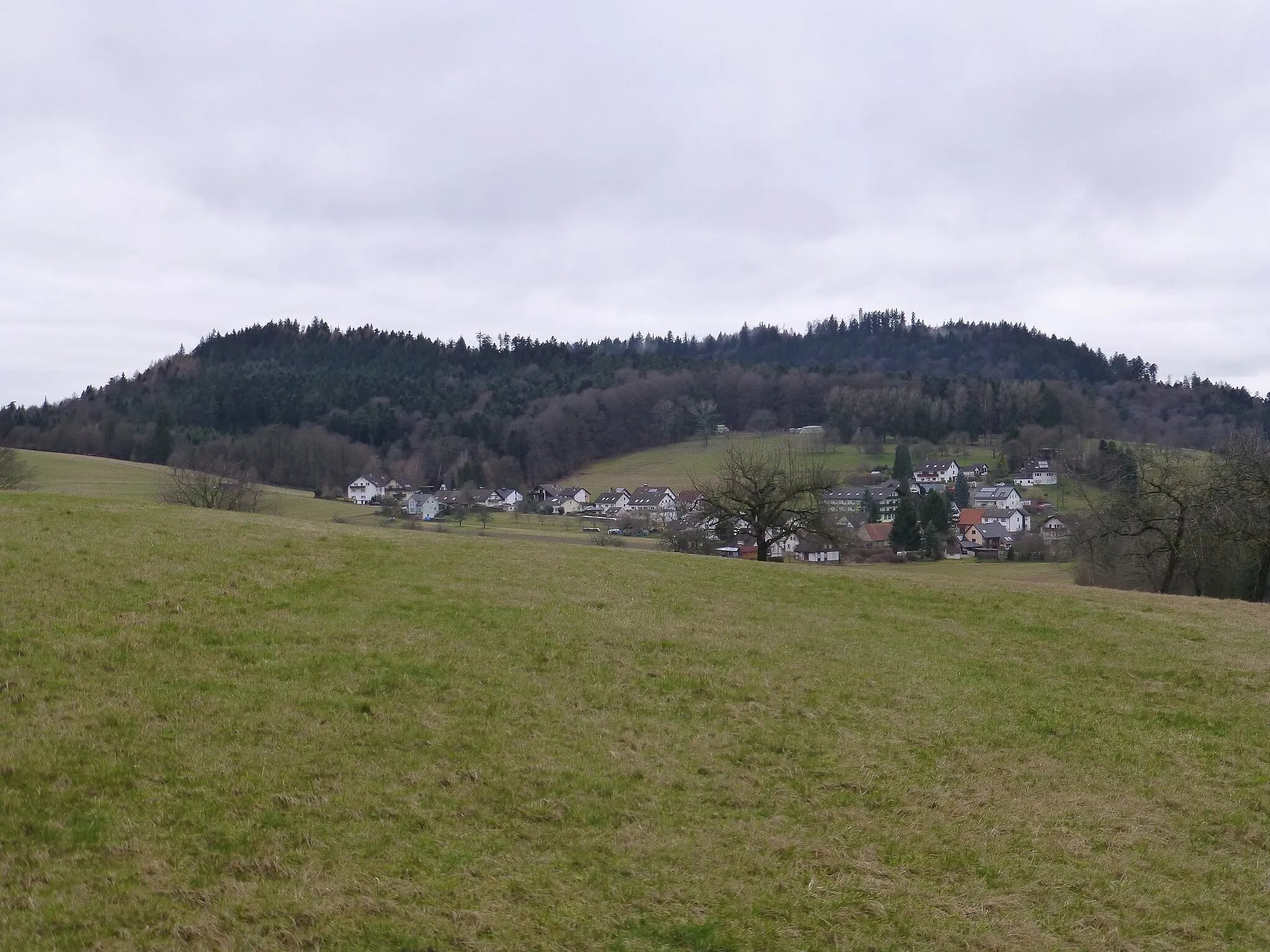 Photo showing: Blick auf den Mahlberg mit dem Mahlbergturm aus Osten (rechte Kuppe); Bildmitte der Bad Herrenalber Ortsteil Althof; linke Kuppe ist der Mönchskopf