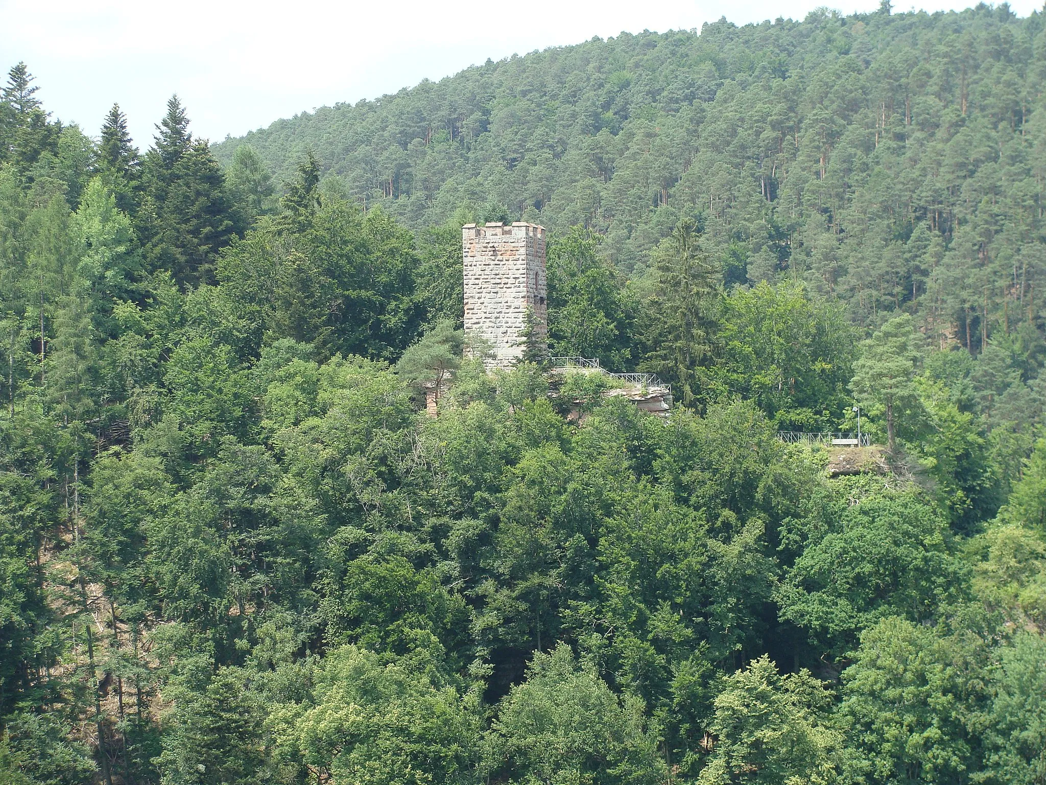 Photo showing: Burg Erfenstein im Speyerbachtal (Pfälzerwald)