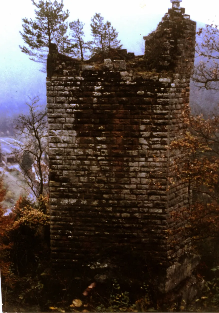 Photo showing: Burg Breitenstein im Elmsteiner Tal, Schildmauer von Aussen