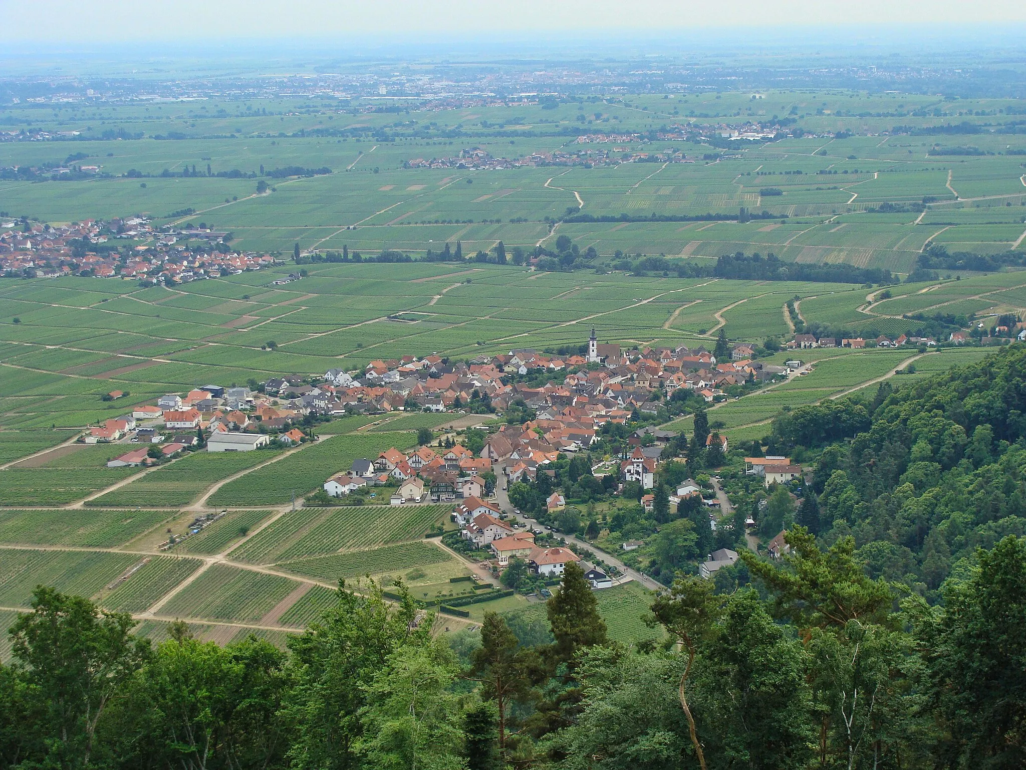 Photo showing: Weyher in der Pfalz (Blick von der Rietburg)