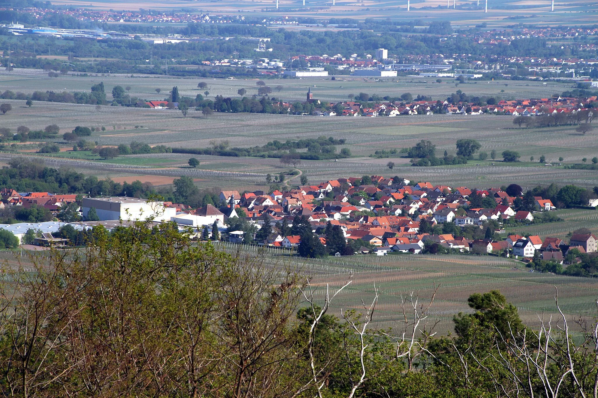 Photo showing: Aussicht von St.-Anna-Kapelle (Burrweiler)‎