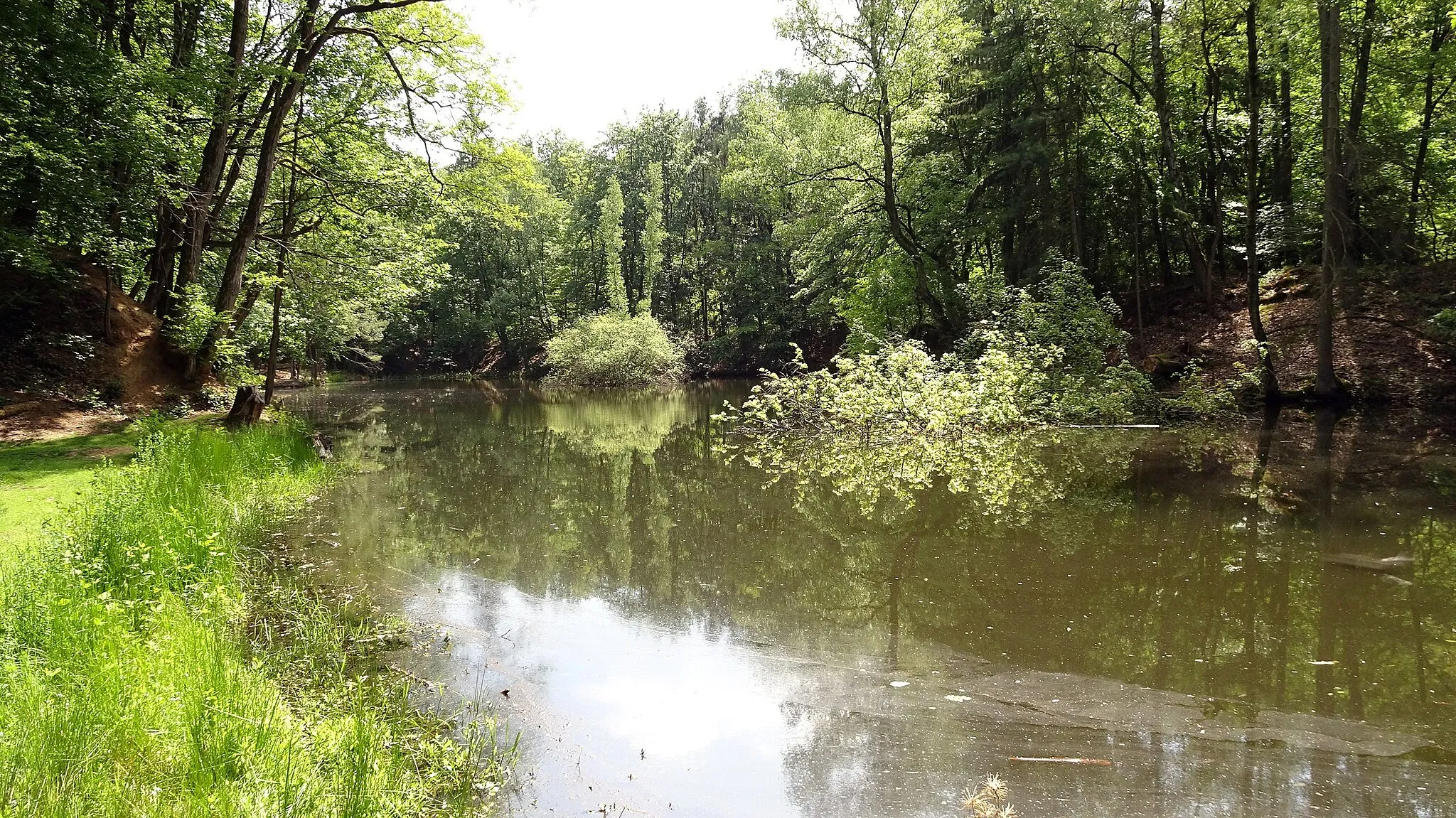 Photo showing: Natural monument "Aufgelassener Steinbruch", west of Eppertshausen. The greater one of 2 ponds in the former trachyte quarry in the wood. (Landkreis Darmstadt-Dieburg, Hesse, Germany)