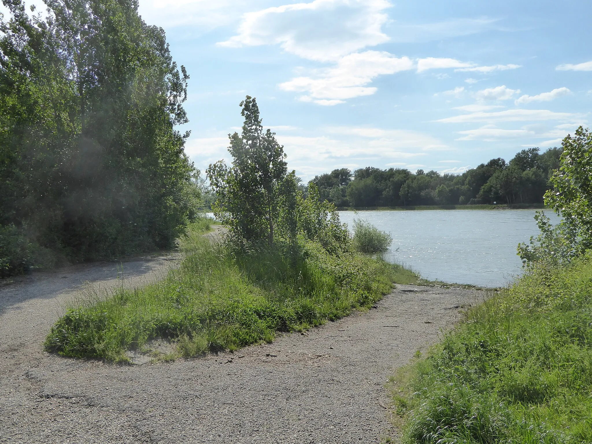 Photo showing: Blick auf den Altrhein, Rheinschanzinsel