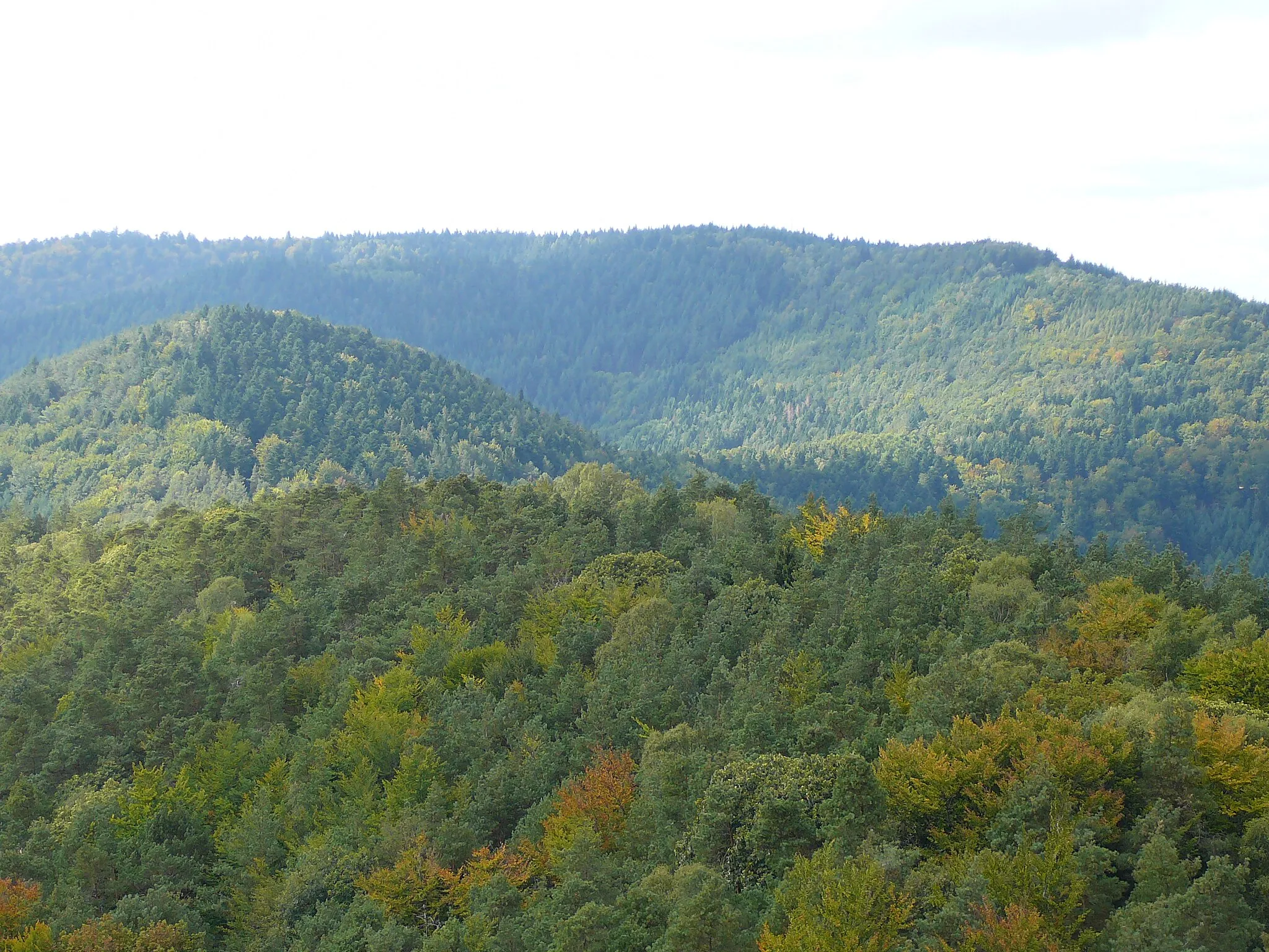 Photo showing: Blick vom Stäffelsberg Richtung Westen zur Hohen Derst