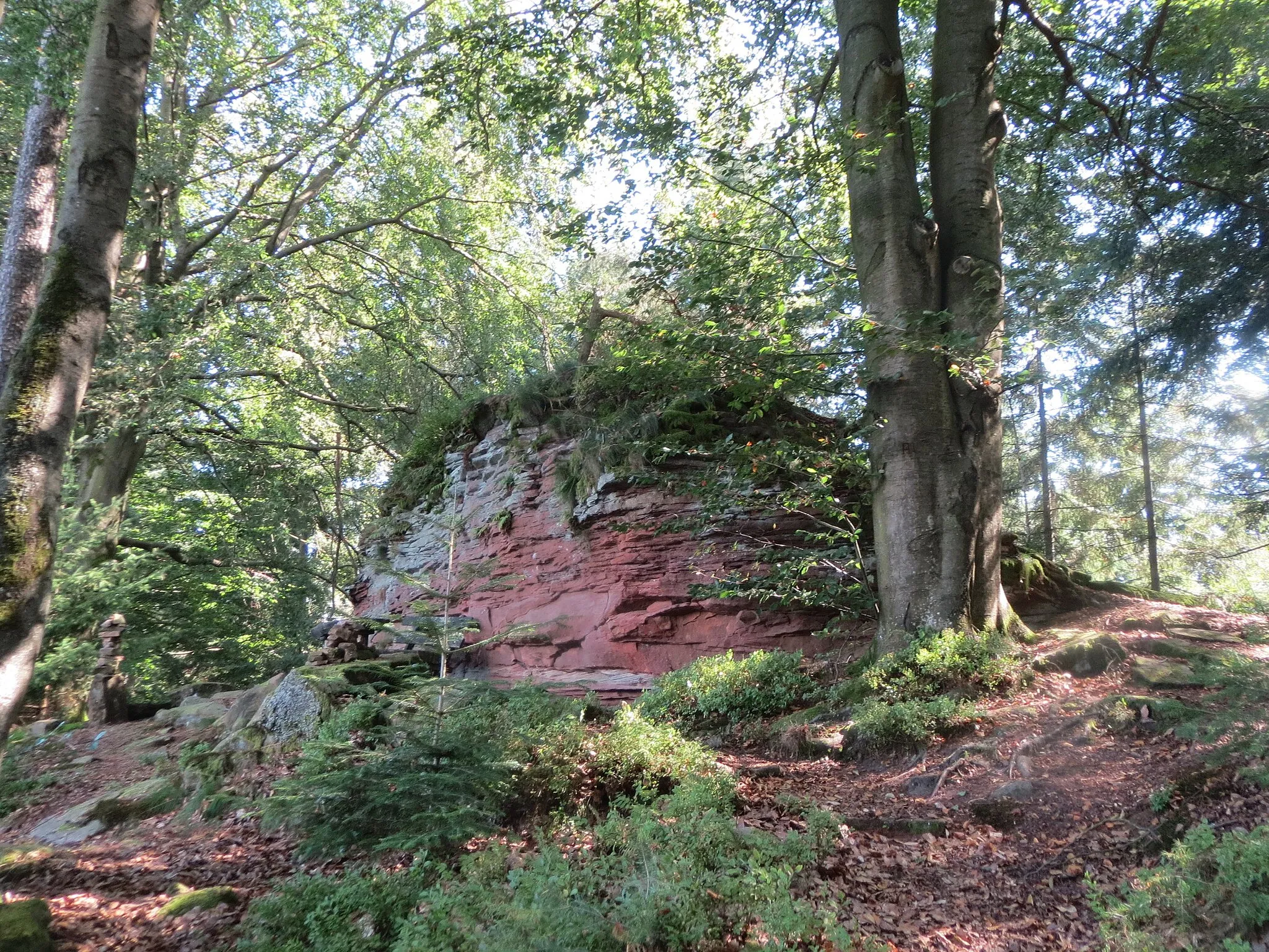 Photo showing: Felsformation an der Hohen Tanne, einem Ausläufer vom Abtskopf bei Klingenmünster