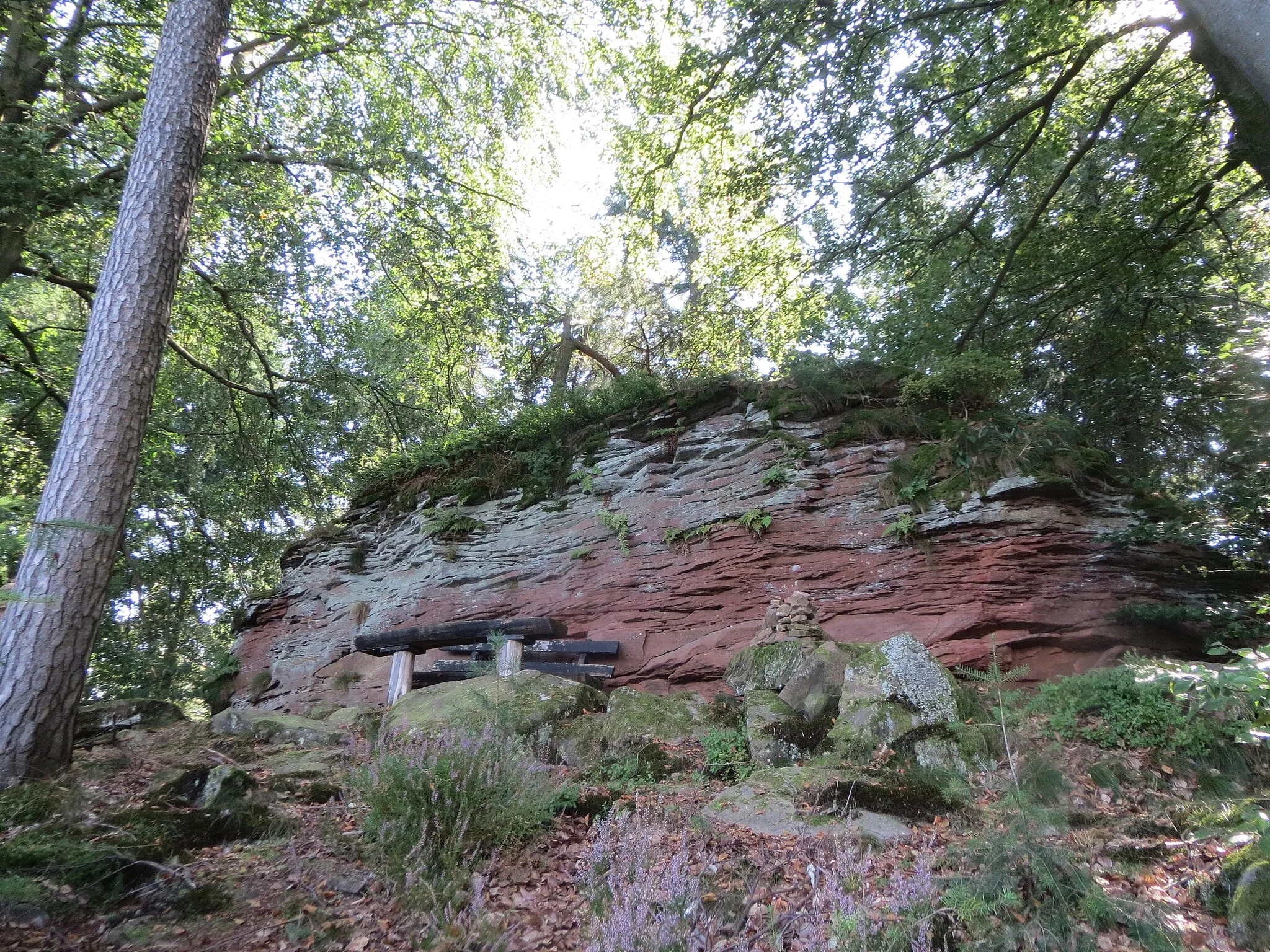 Photo showing: Felsformation an der Hohen Tanne, einem Ausläufer vom Abtskopf bei Klingenmünster