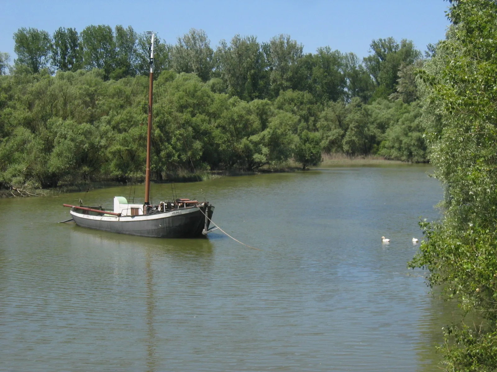 Photo showing: Aalschokker "Heini" auf dem Altrhein bei Rastatt; das Schiff war das letzte seiner Art und bis Ende der 1980er Jahre in Betrieb. Heute liegt es als technisches Denkmal vor Anker.