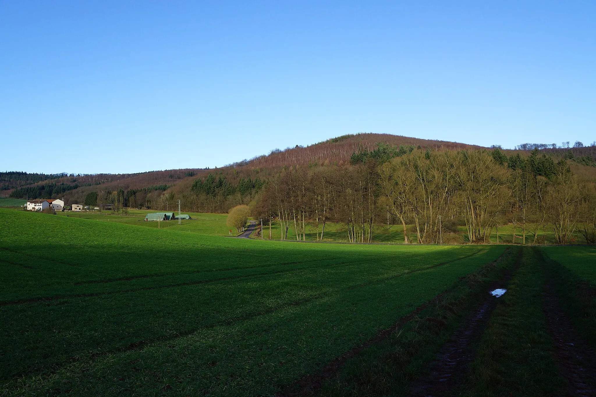 Photo showing: Klauserkopf und Clauserhof bei Ramsen (Pfalz)