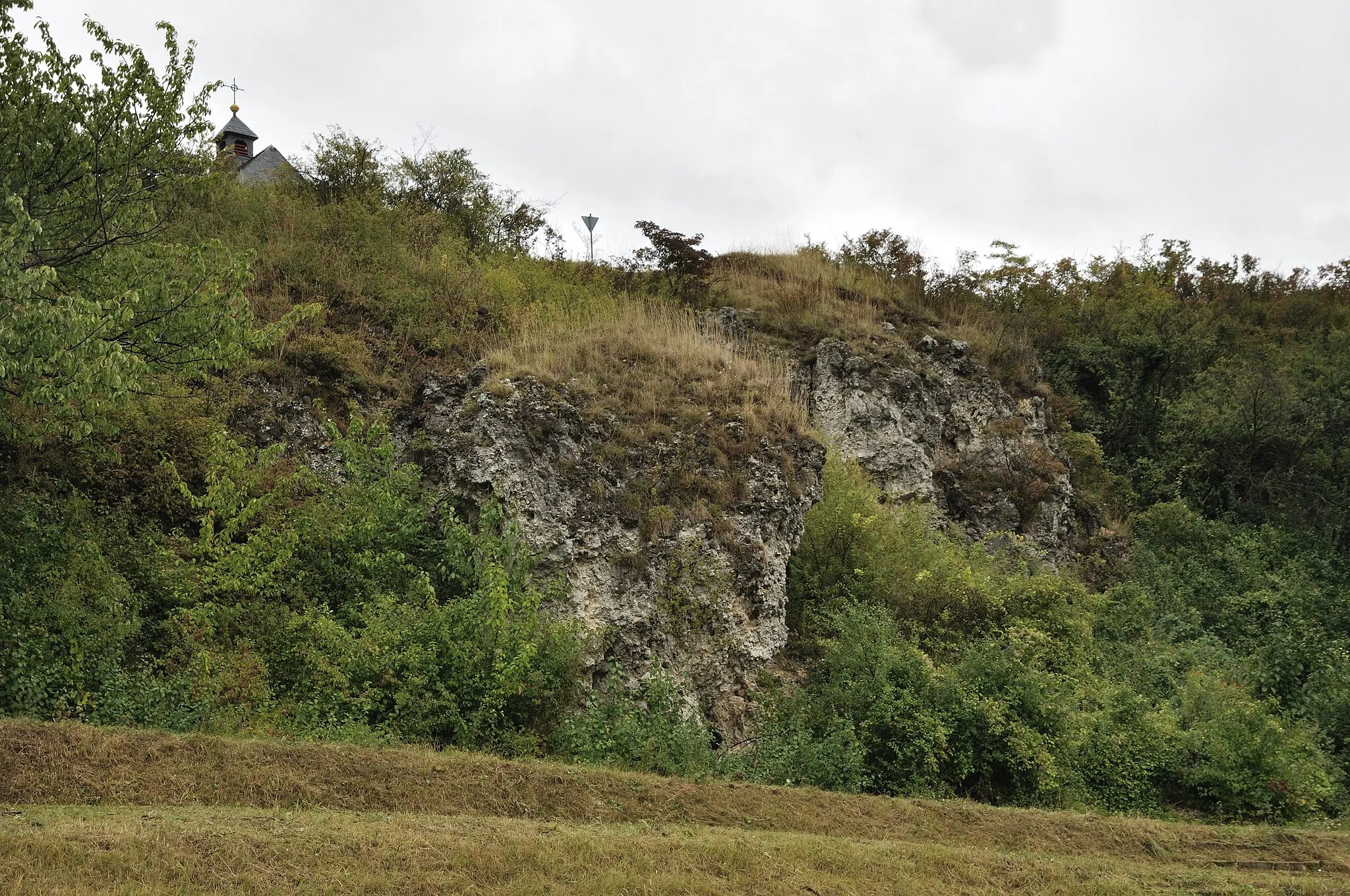 Photo showing: Kalksteinwand im Naturschutzgebiet Kleine Kalmit, Pfälzerwald