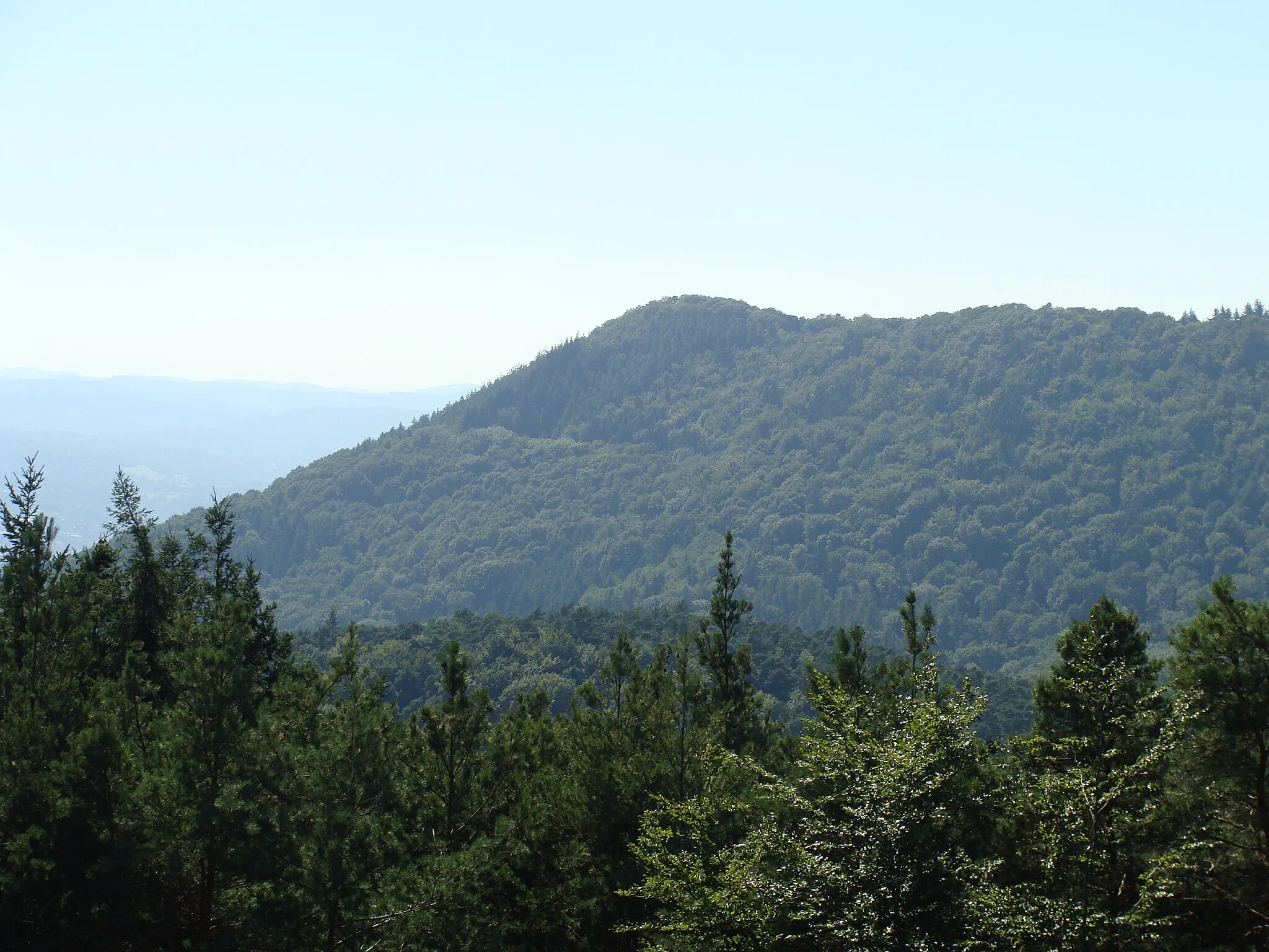 Photo showing: Blick von der Trifelsblick-Hütte auf dem Teufelsberg südwestwärts zum Südsporn des Orensberg (Ort des Orensfelsens)