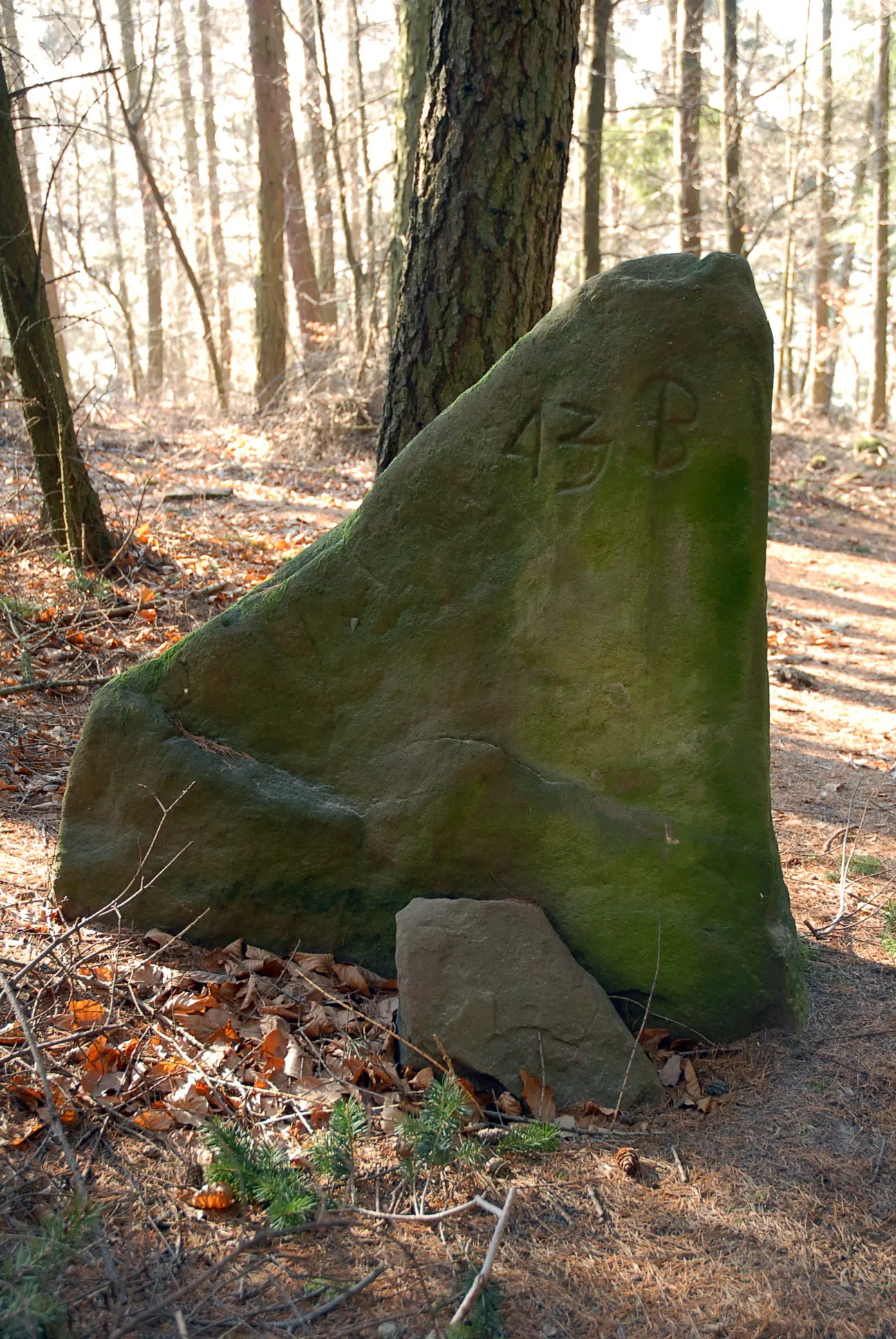 Photo showing: Stone on the Orensberg with the inscription "43B"