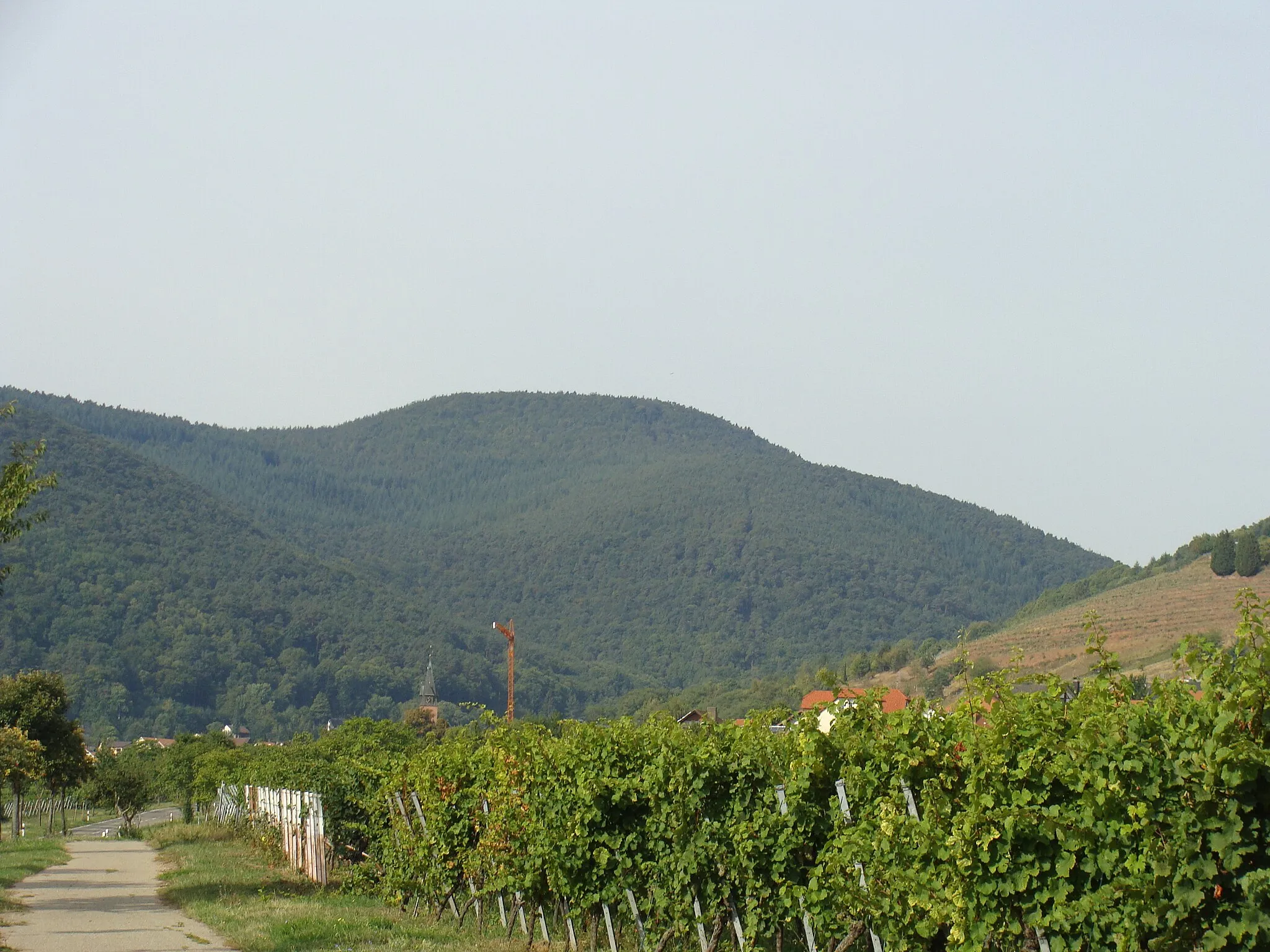 Photo showing: Hochberg (Haardt) im Pfälzerwald