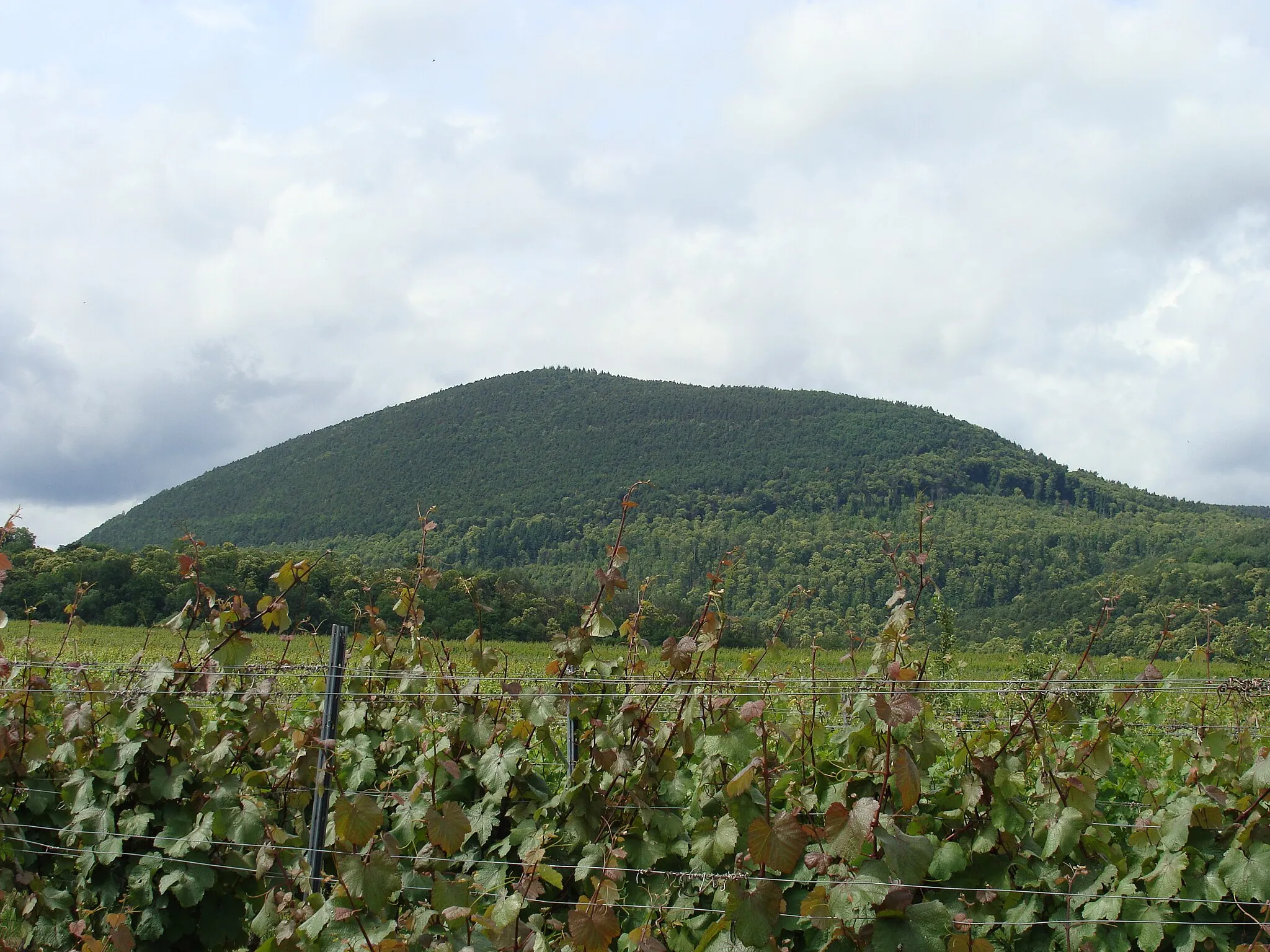 Photo showing: Hochberg (Haardt/Pfälzerwald)