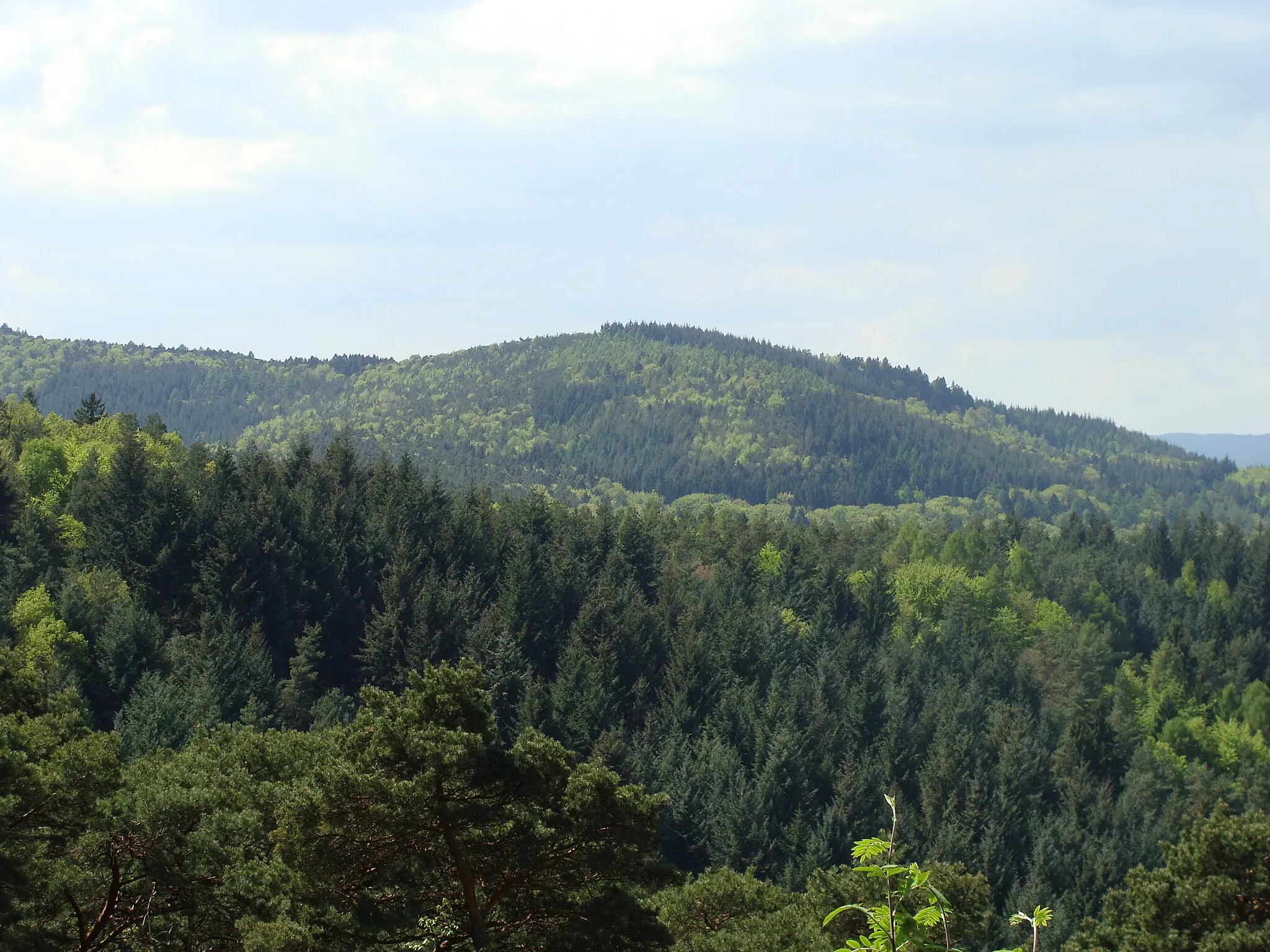 Photo showing: Rotsohlberg im Pfälzerwald - Blick vom Hahnenschritt