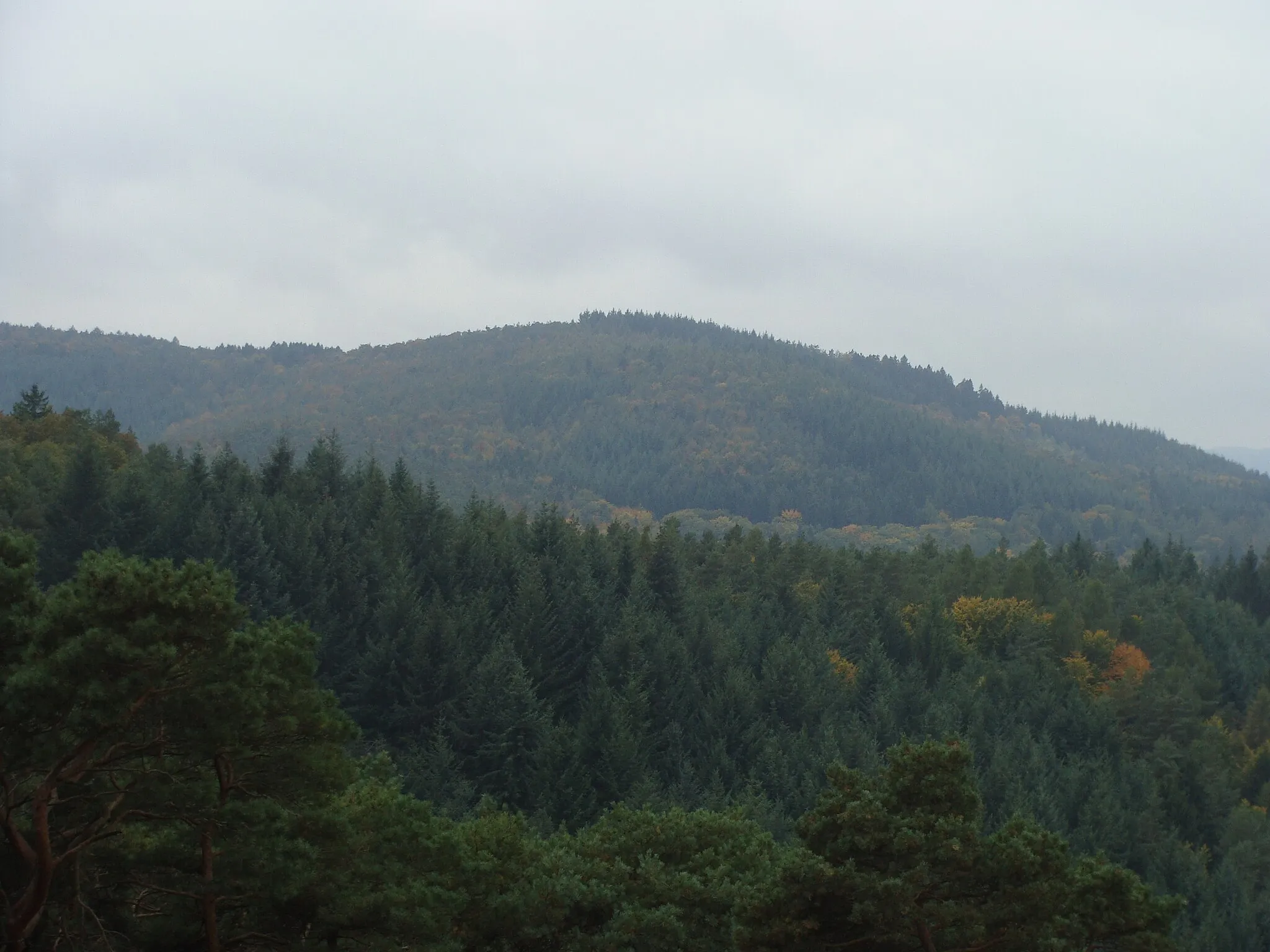 Photo showing: Rothsohlberg (607 m) im Pfälzerwald vom Hahnenschritt ausgesehen