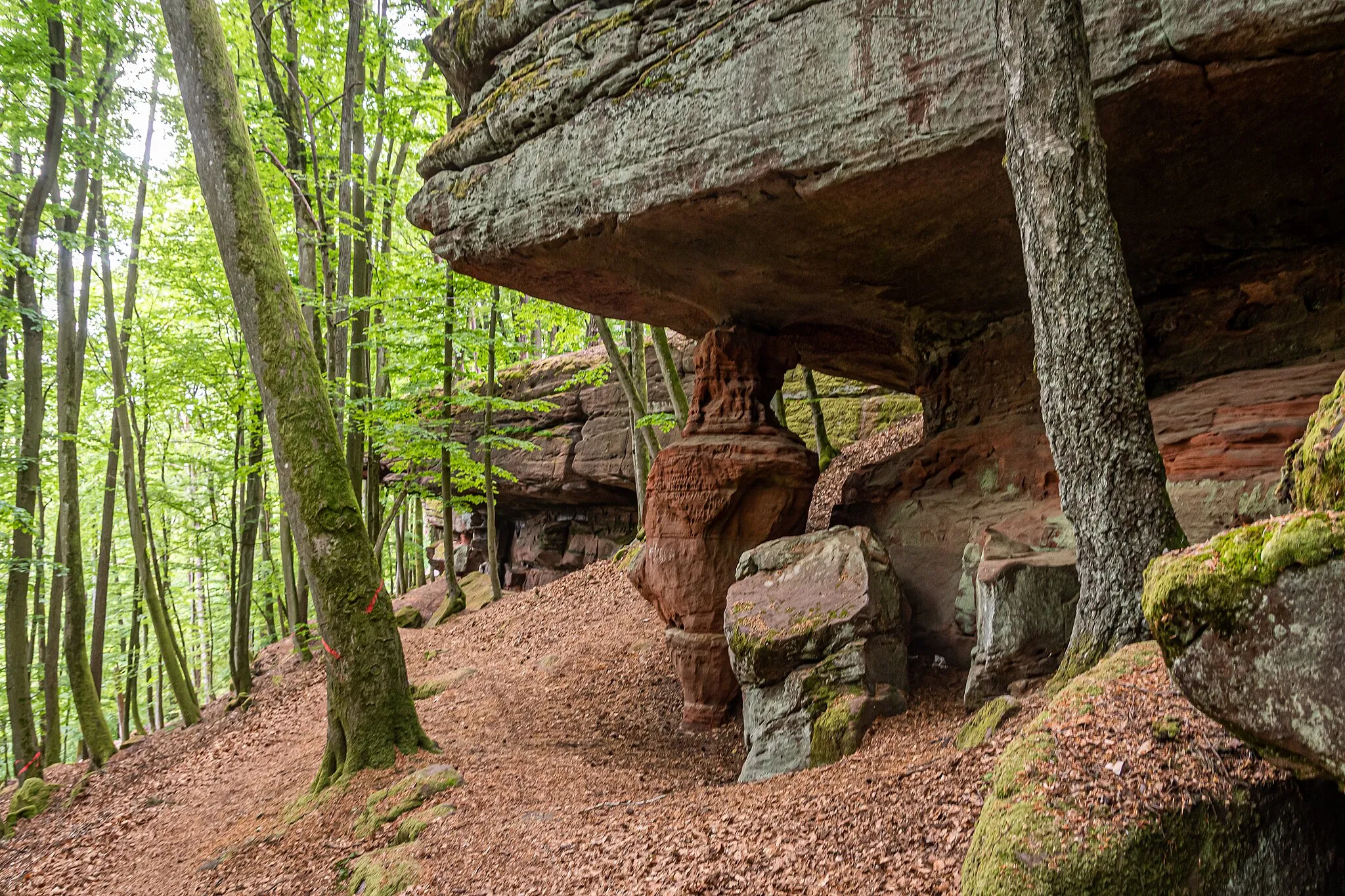 Photo showing: Hohle Felsen bei Dahn - Biosphärenreservat Pfälzerwald - Nordvogesen