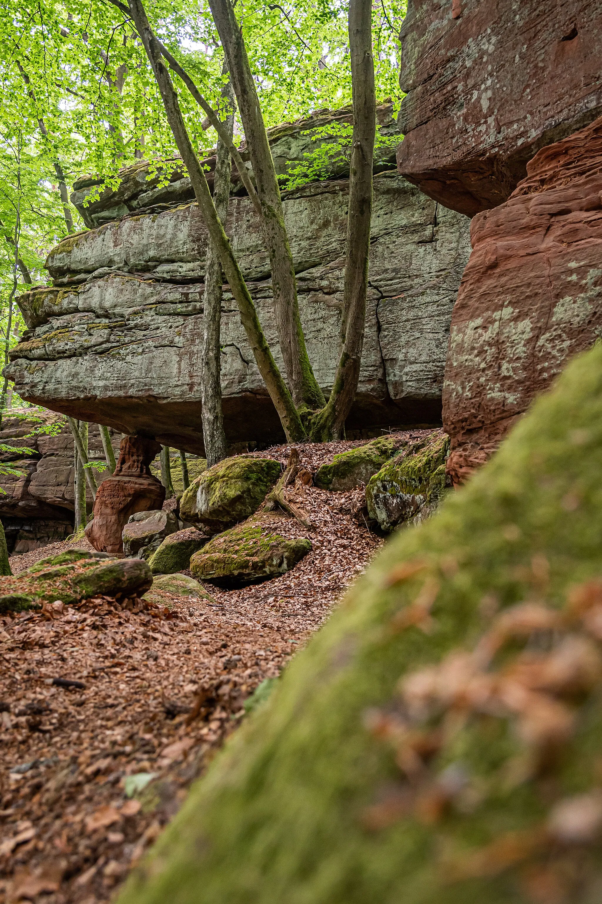 Photo showing: Hohle Felsen bei Dahn - Biosphärenreservat Pfälzerwald - Nordvogesen