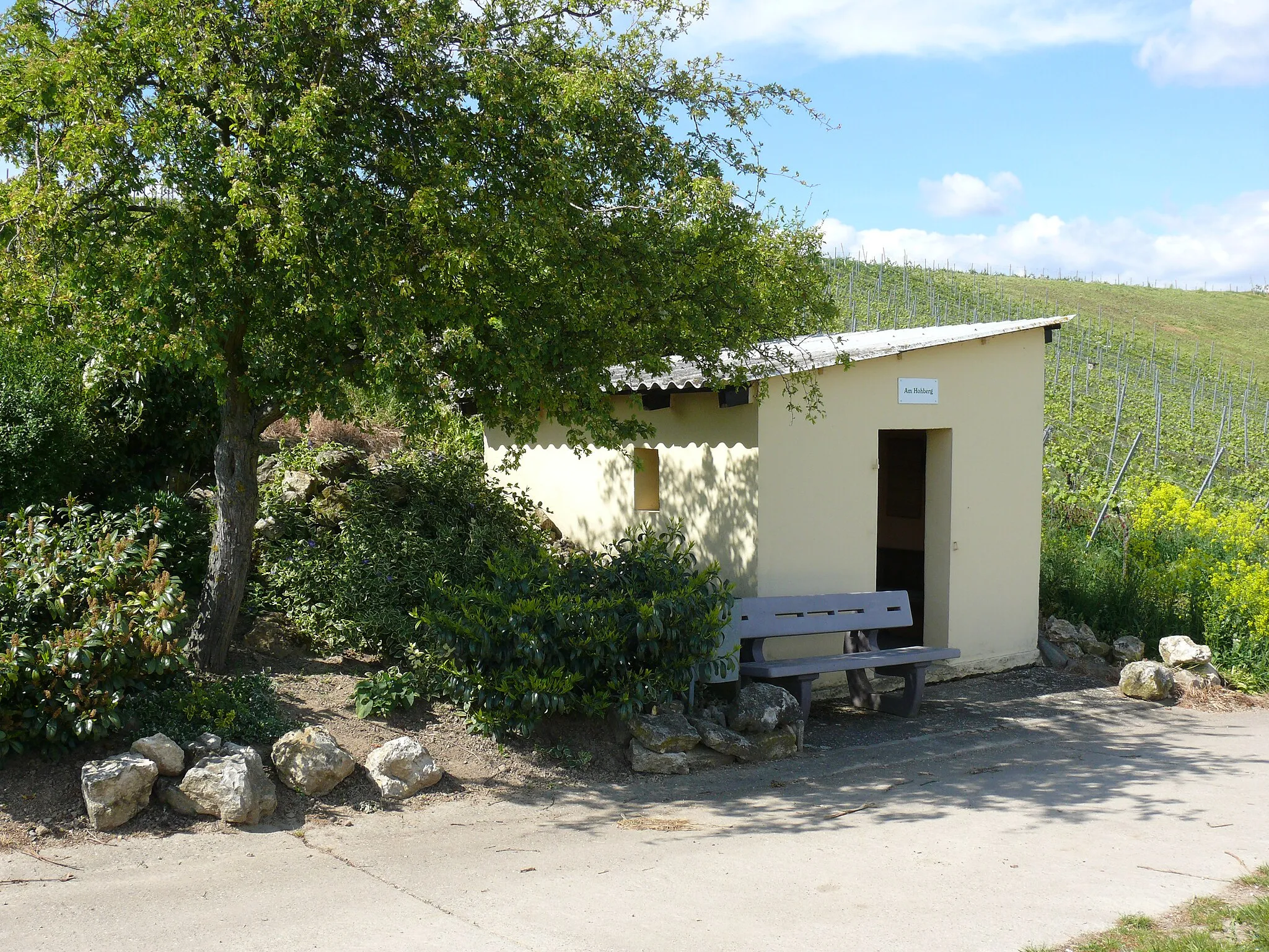 Photo showing: Schöne Lage in der Weinlage "Guldenmorgen" mit weitem Blick bis zum Odenwald