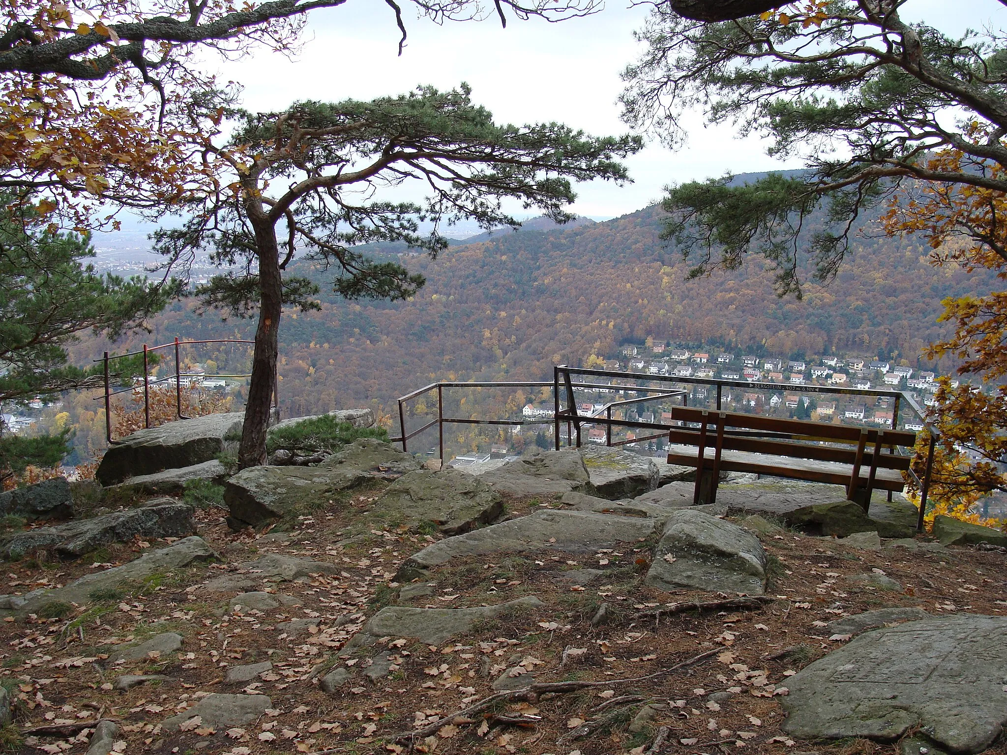 Photo showing: Bergstein (Weinbiet) im Pfälzerwald - Naturdenkmal in Rheinland-Pfalz