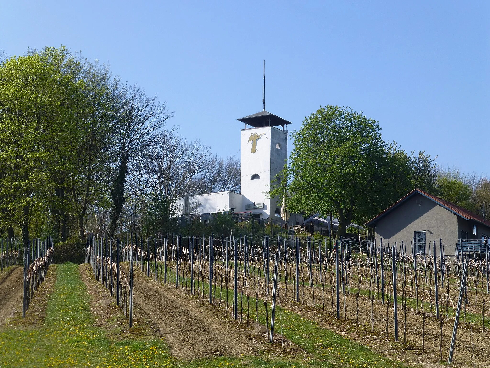 Photo showing: Kloppbergturm bei Dittelsheim-Heßloch; links am Turm das Turmlokal