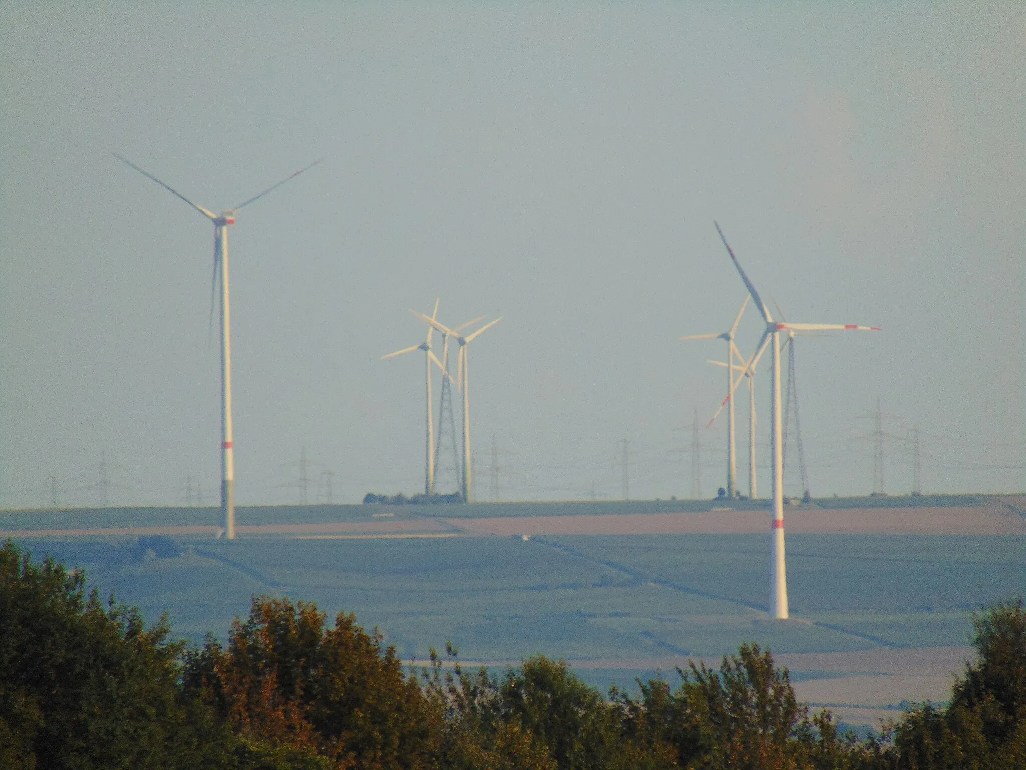 Photo showing: Blick von Wörrstadt auf den Windpark Hochborn, Rheinland-Pfalz, Deutschland