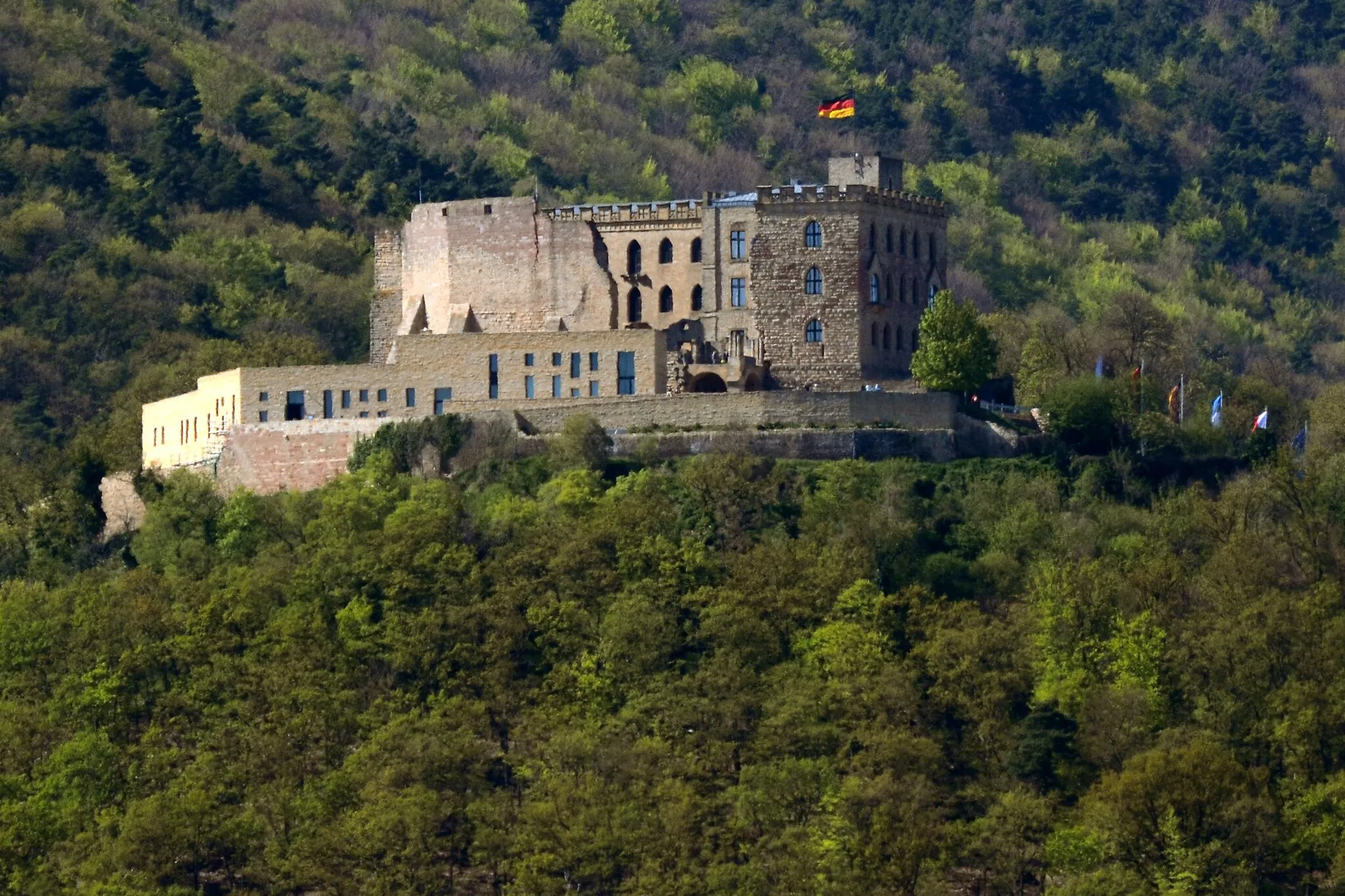 Photo showing: Hambacher Schloss